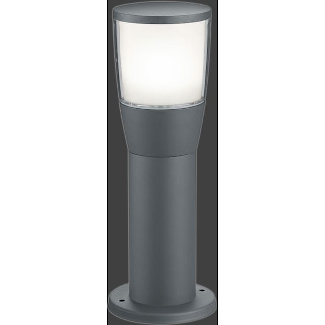 TRIO Leuchten LED Sockelleuchte »SHANNON«, 1 flammig-flammig bei OTTO