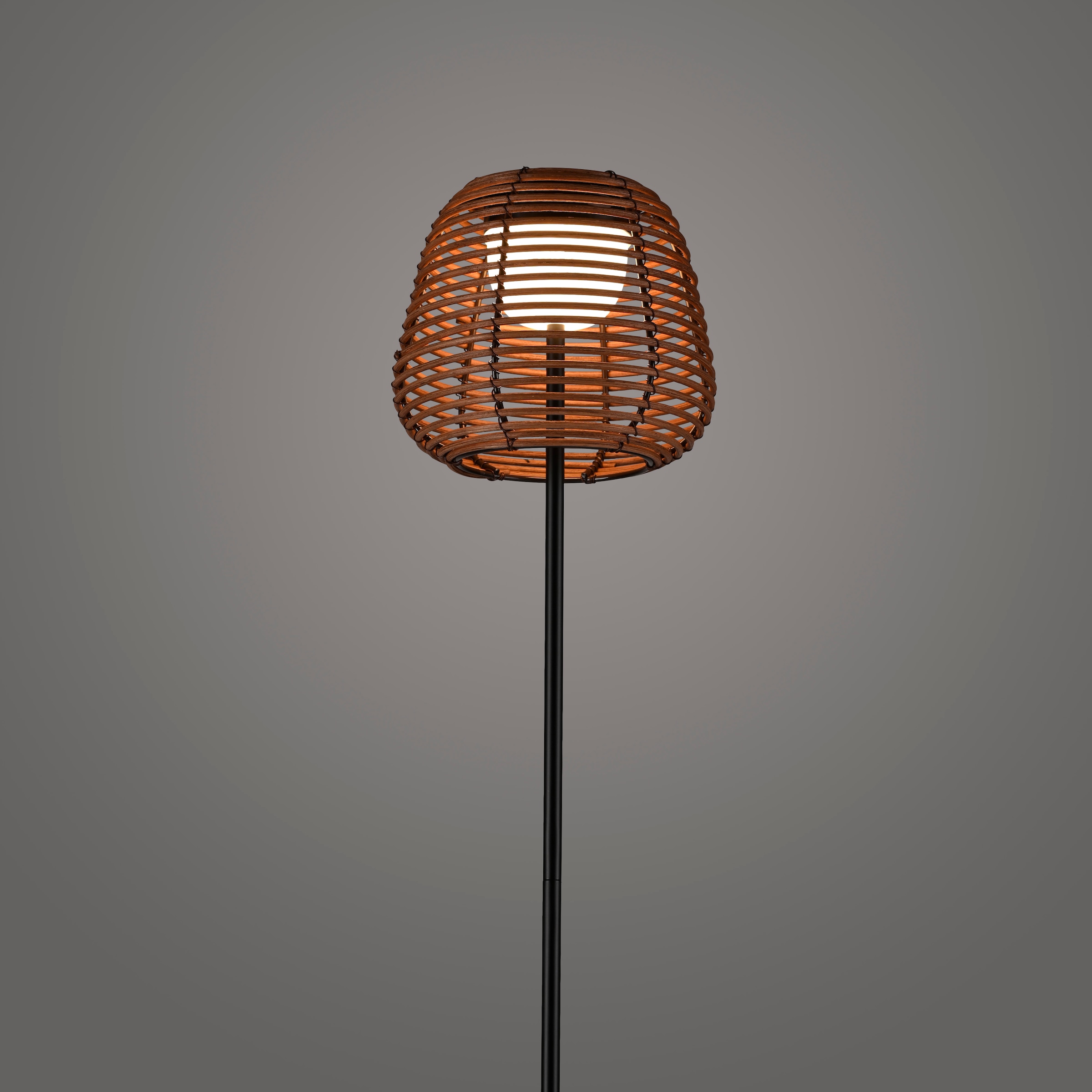 JUST LIGHT Stehlampe »ASKIA«, 1 flammig, Leuchtmittel LED-Modul | LED fest integriert, Akkuleuchte