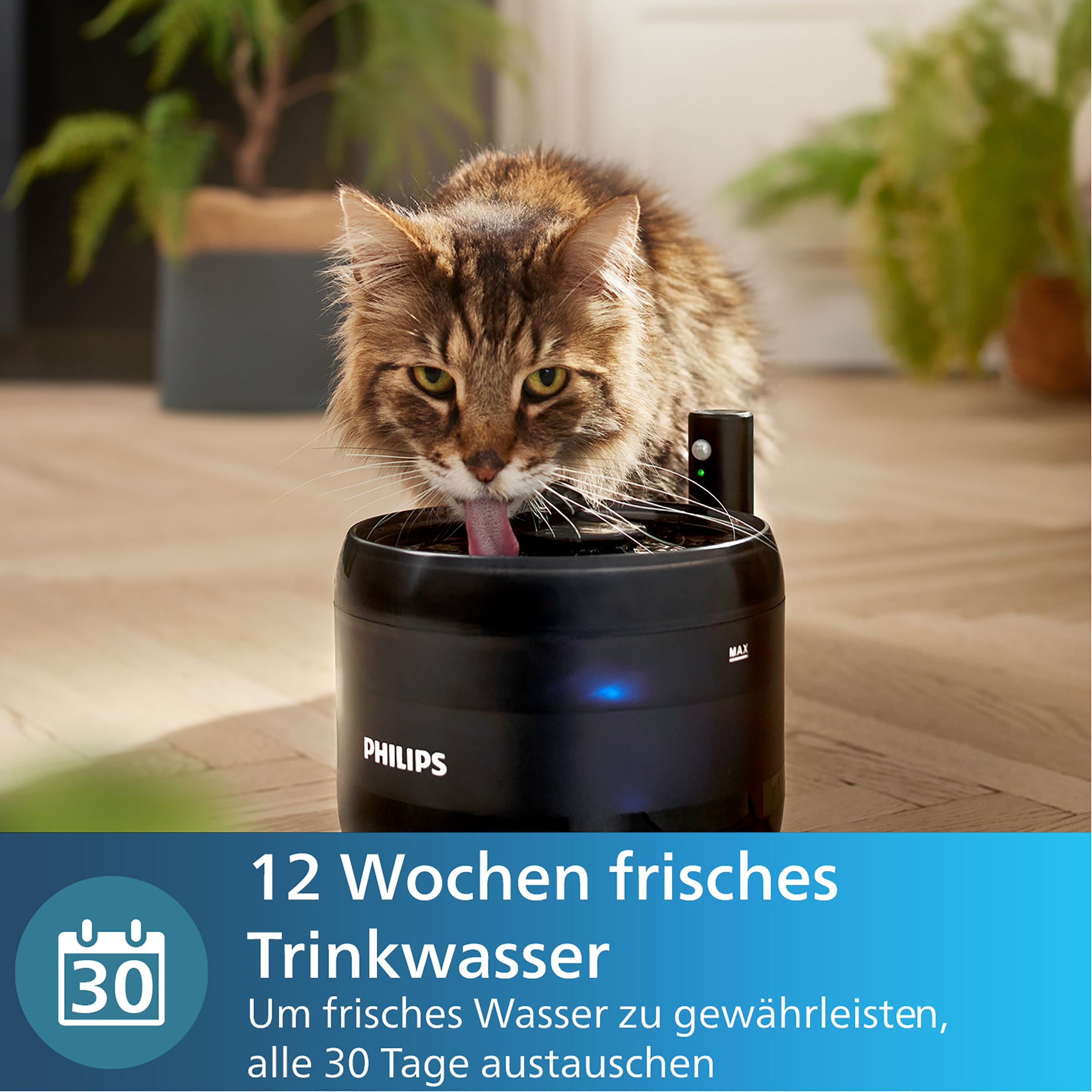 Philips Wasserfilter »PAW0010/01 für Wassertränke Philips Pet Series 3000«, (Packung, 3 tlg., jede Packung enthält drei Filter), mit mehrschichtigem Filtersystem, einfach zu bedienen
