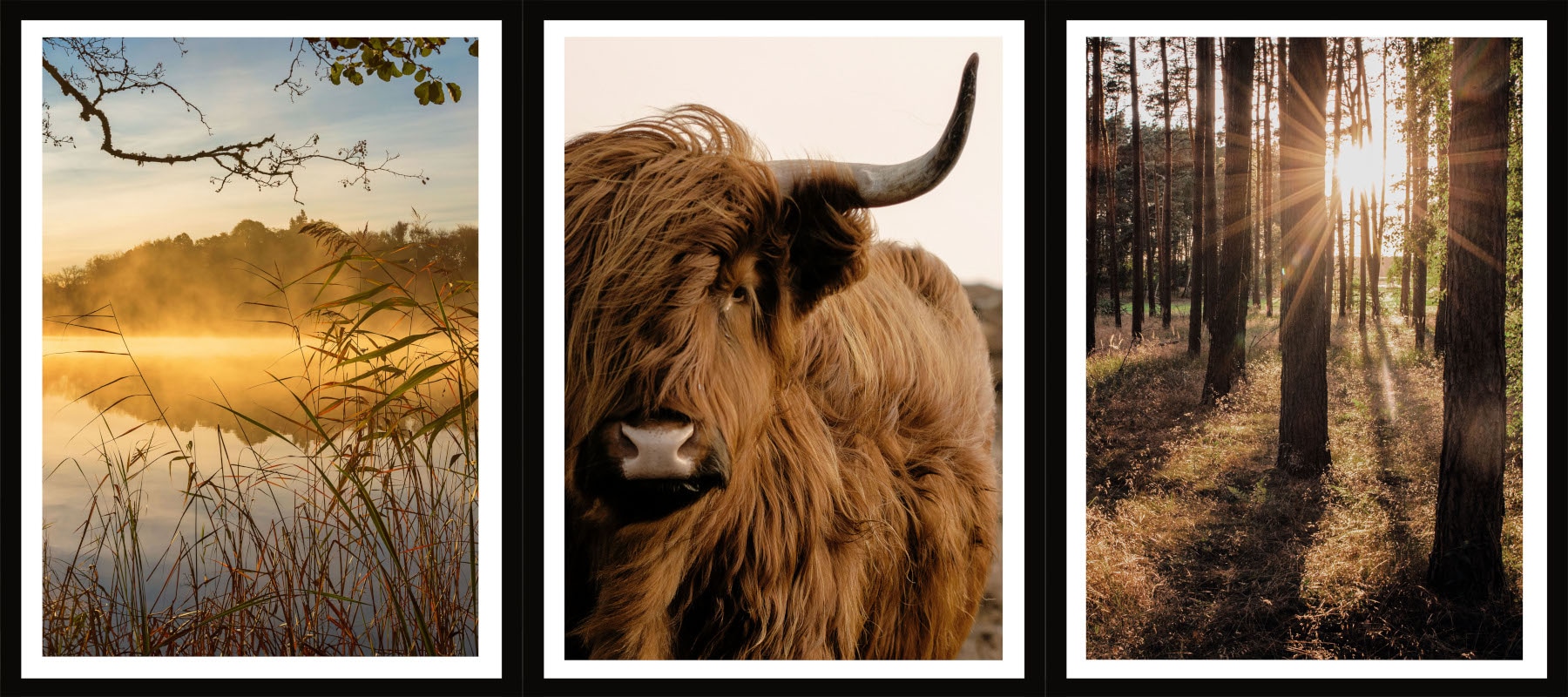 Bönninghoff Bild mit Rahmen 3 Stk. tlg.