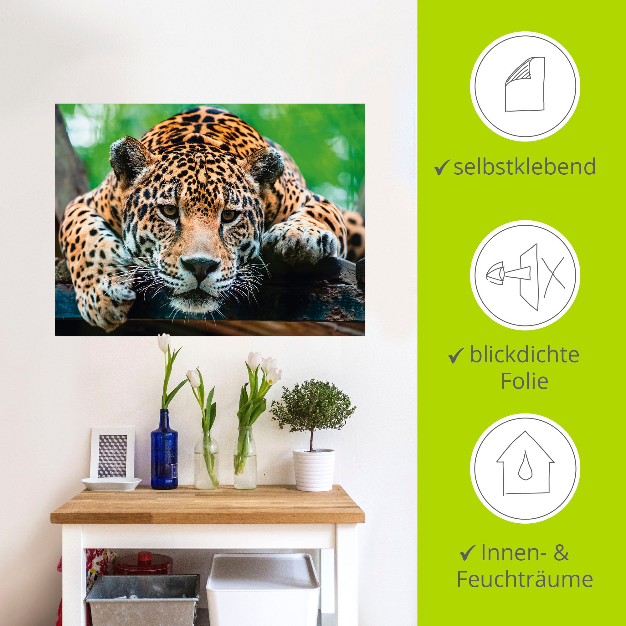 Artland Wandbild »Südamerikanischer Jaguar«, Wildtiere, (1 St.), als Alubild, Outdoorbild, Leinwandbild, Poster, Wandaufkleber