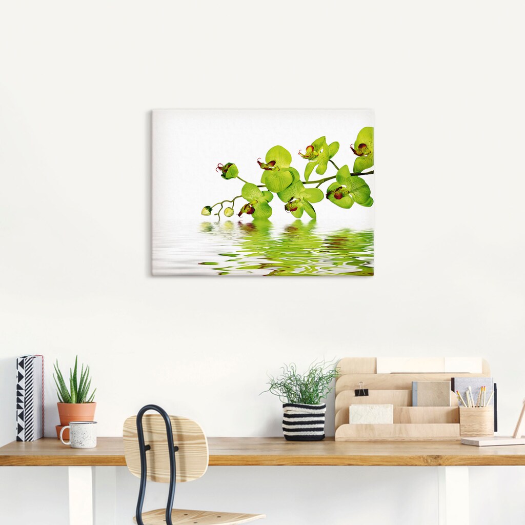 Artland Wandbild »Schöne Orchidee mit grünem Hintergrund«, Blumen, (1 St.)
