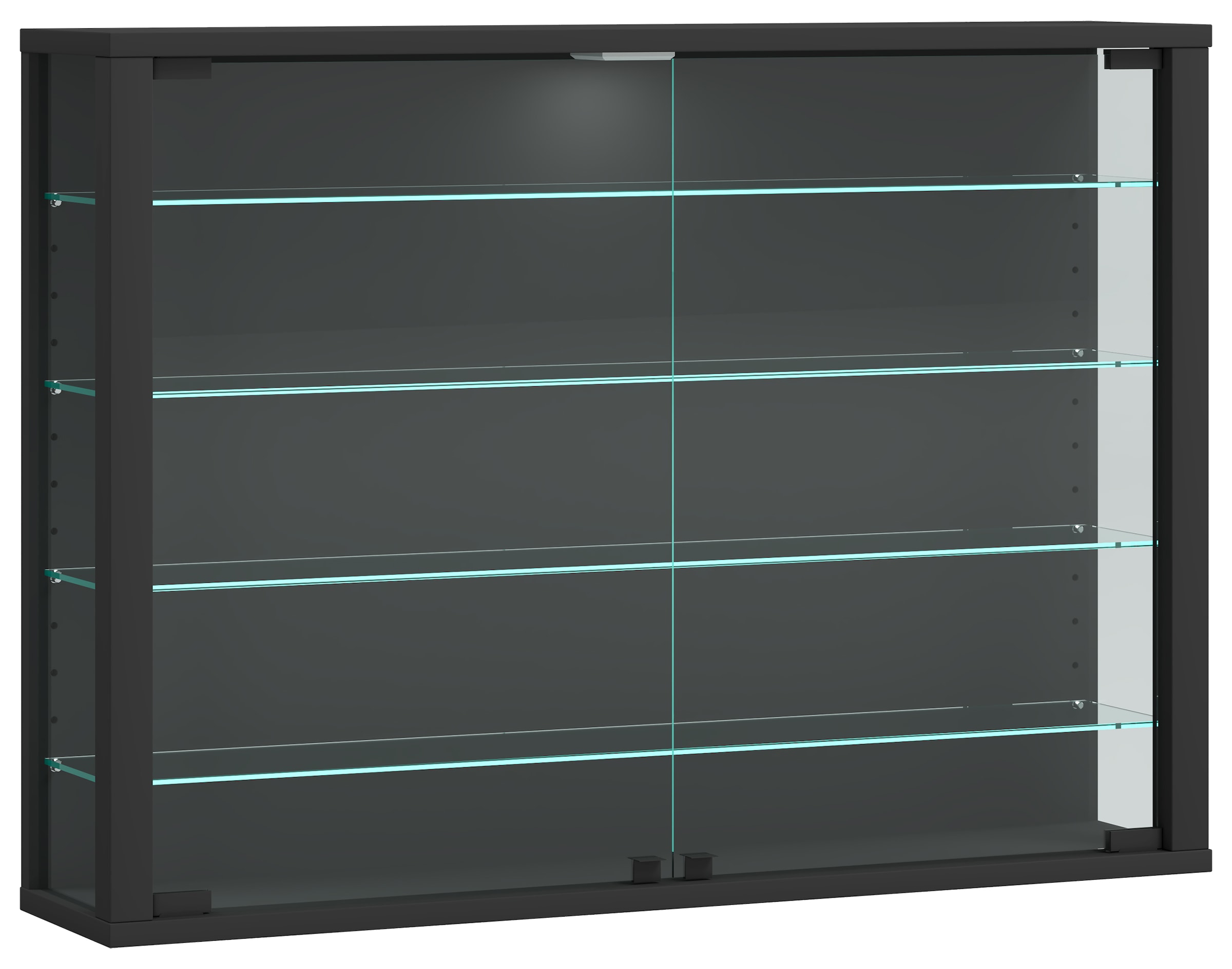 VCM Wandregal »Wandvitrine Hängevitrine Glasvitrine Vitrosa L«