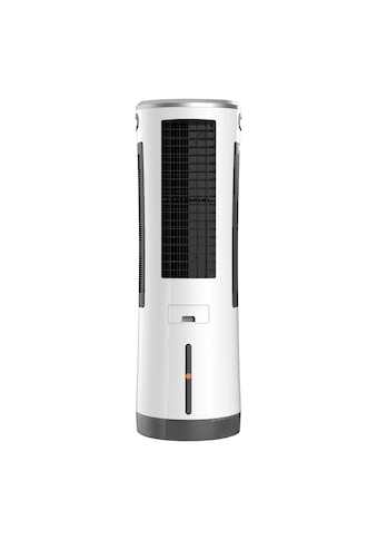 Ventilatorkombigerät »Luftkühler mit Mückenabwehr 18l BC18AC2301IKF weiß/grau«