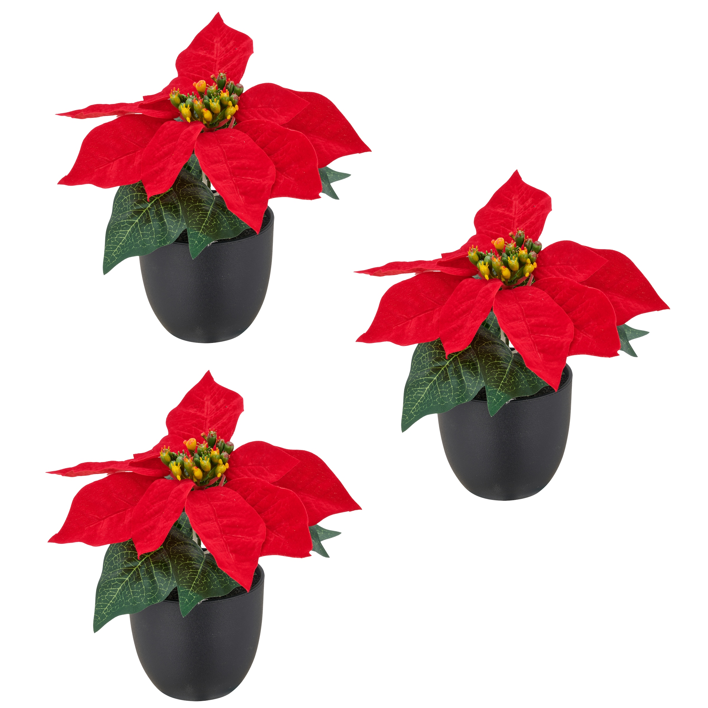 Creativ green Kunstblume »Weihnachtsstern« mit dauerhafter Blütenpracht