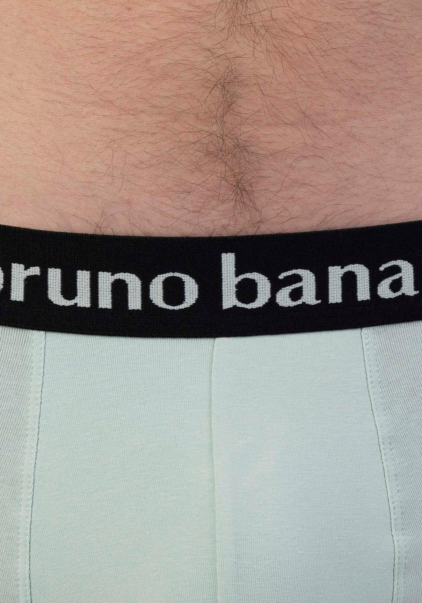 Bruno Banani Boxer »Flowing«, (2er Pack), mit kontrastreichem Logobund