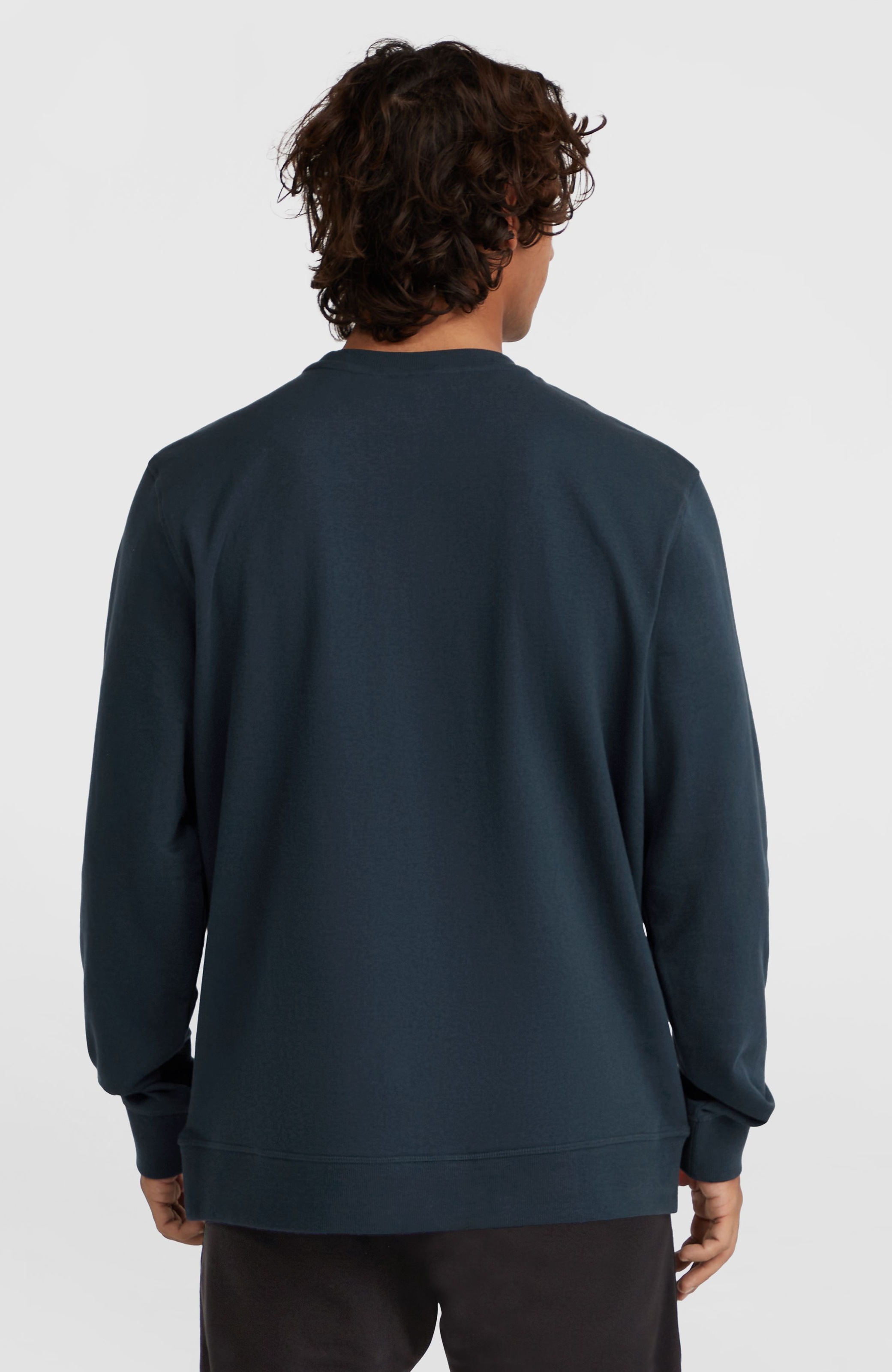 O'Neill Sweatshirt »O'NEILL LOGO CREW«