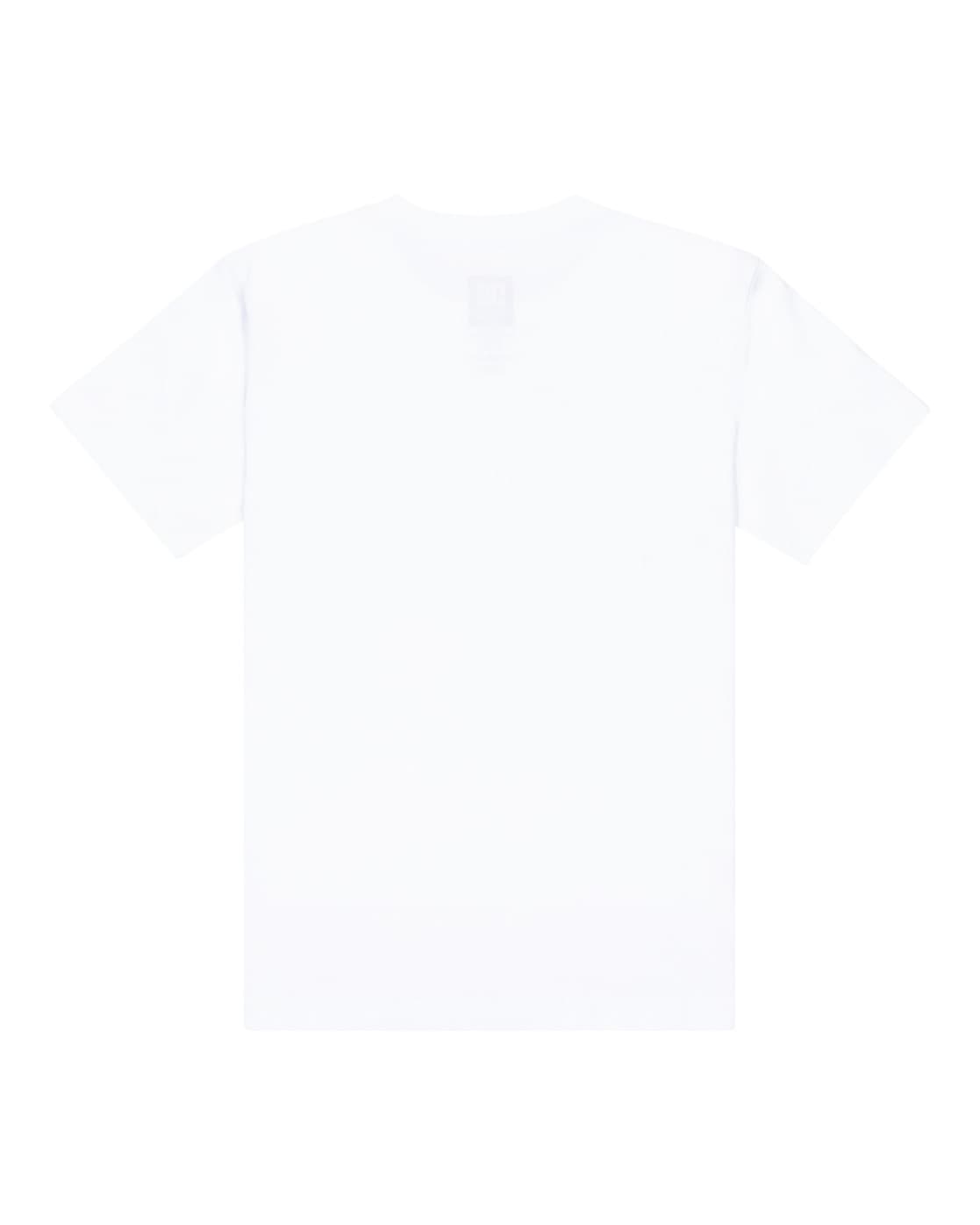 DC Shoes T-Shirt »DC Star Filled«