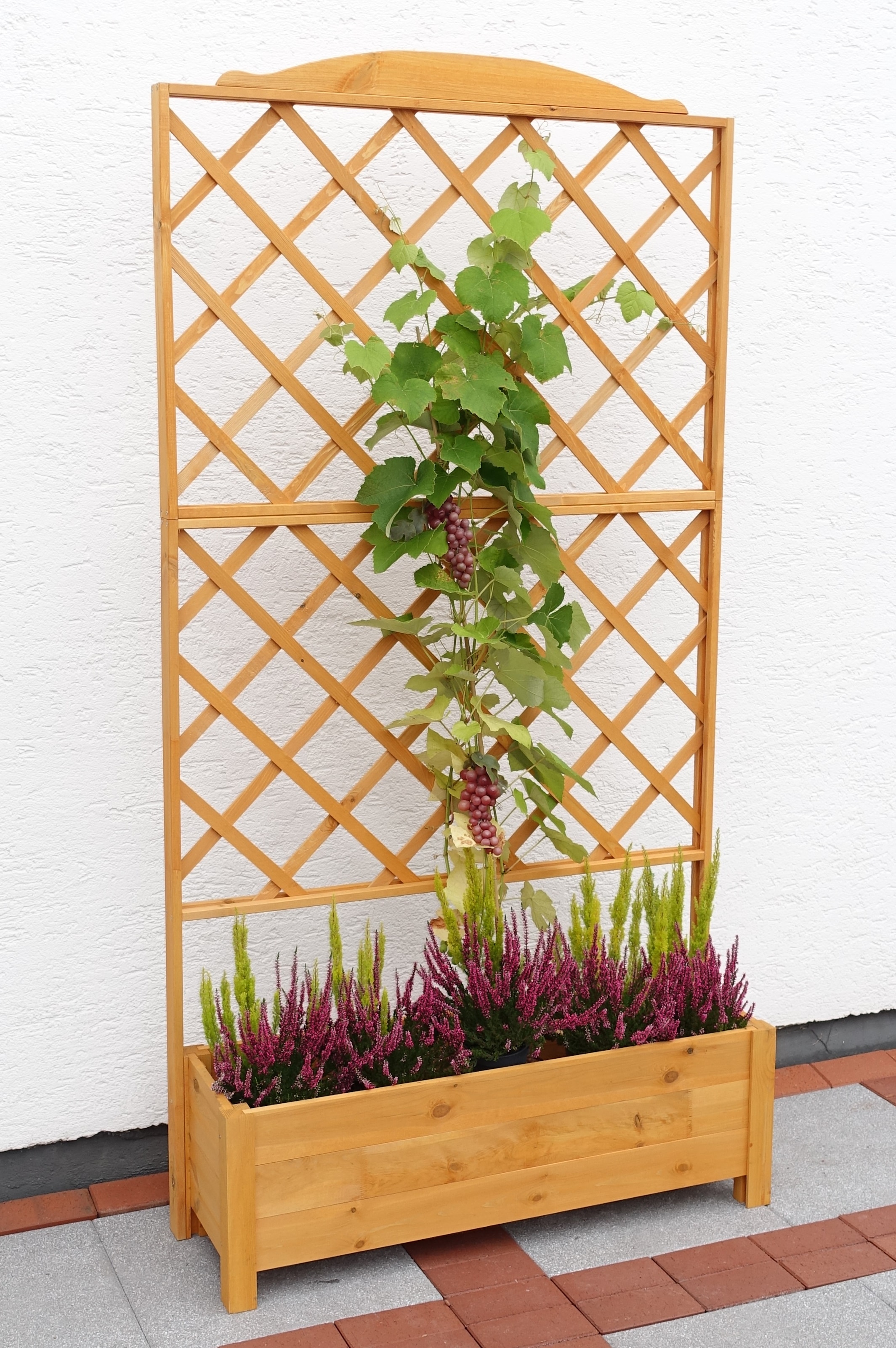 promadino Spalier mit Pflanzkasten, BxTxH: 110x32x210 cm