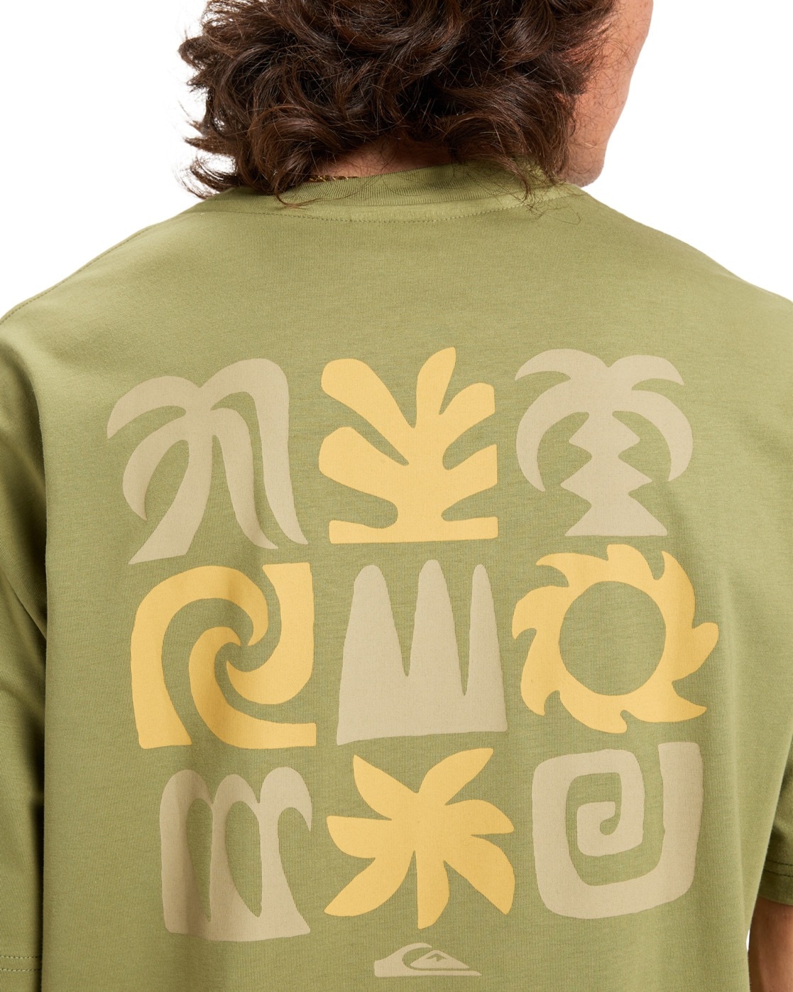 Quiksilver T-Shirt »Pto Sun Flow«