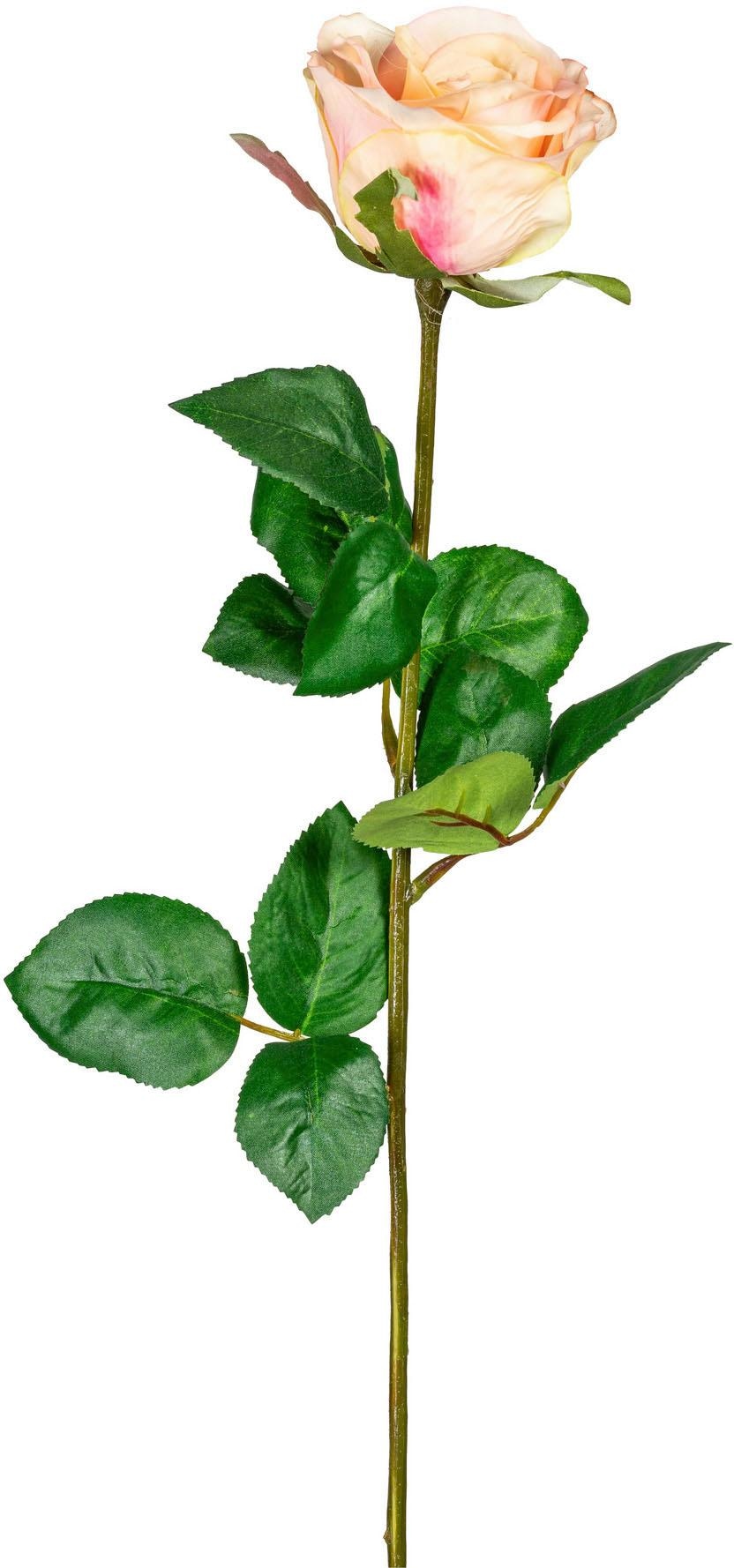 Creativ green Kunstblume