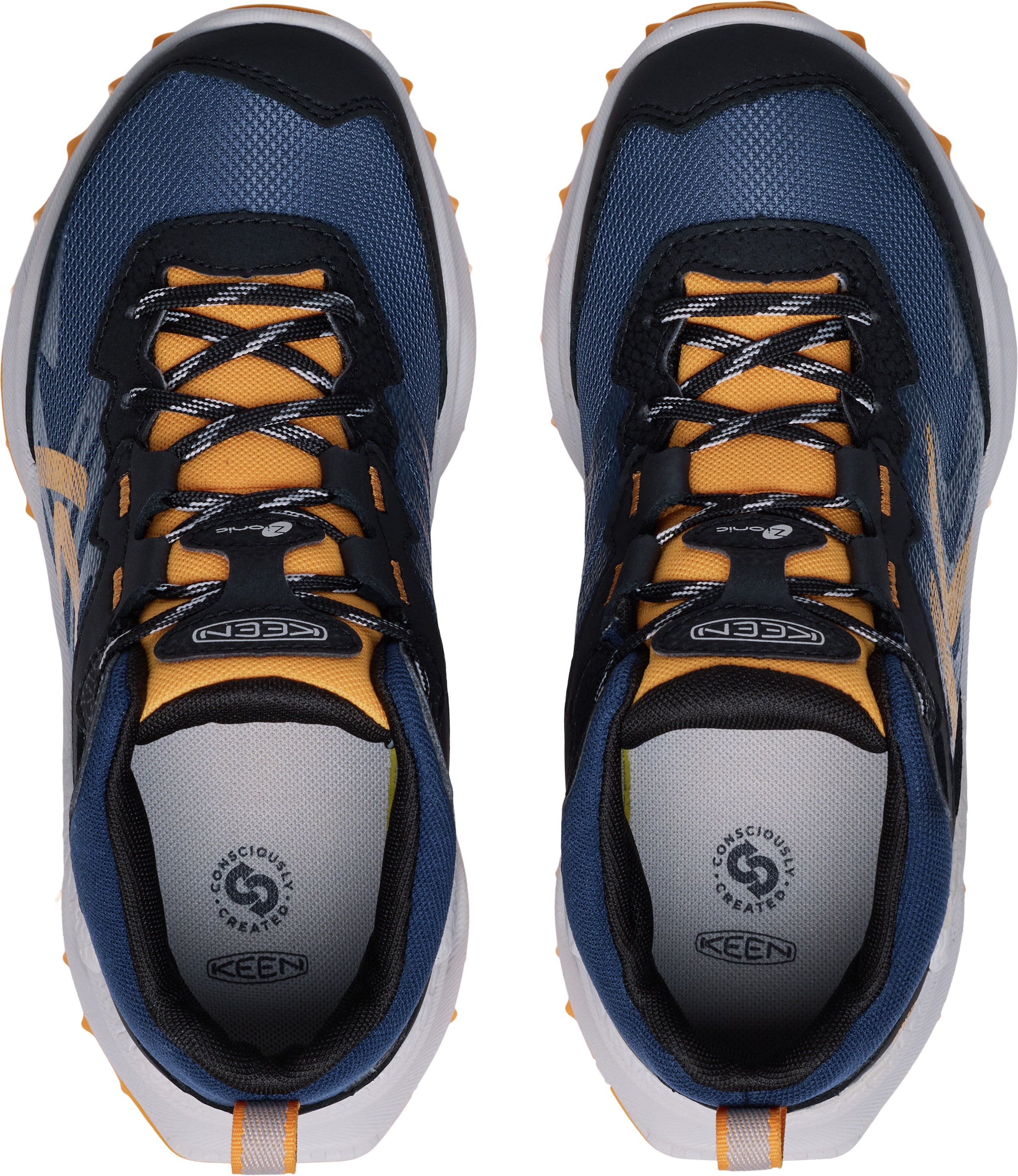 Keen Outdoorschuh »ZIONIC MID WP«  wasserdicht