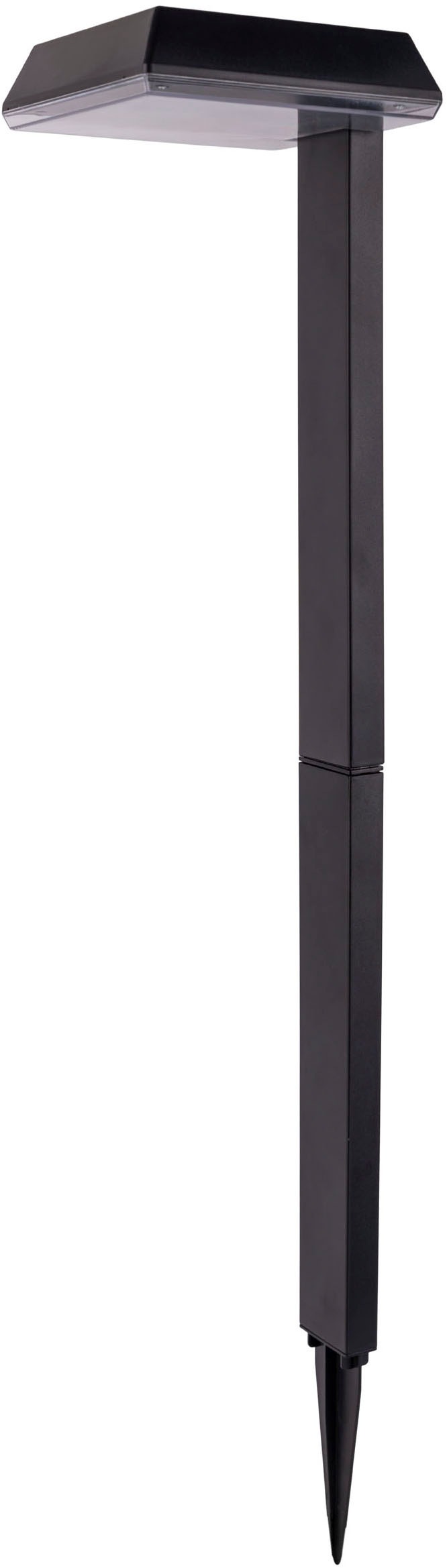 näve LED Solarleuchte »Sigi« LED-Modul 1 Stk. Warmweiß Dekoerdspieß, H: 79cm, Dämmerungssensor, schwarz, LED warmweiß