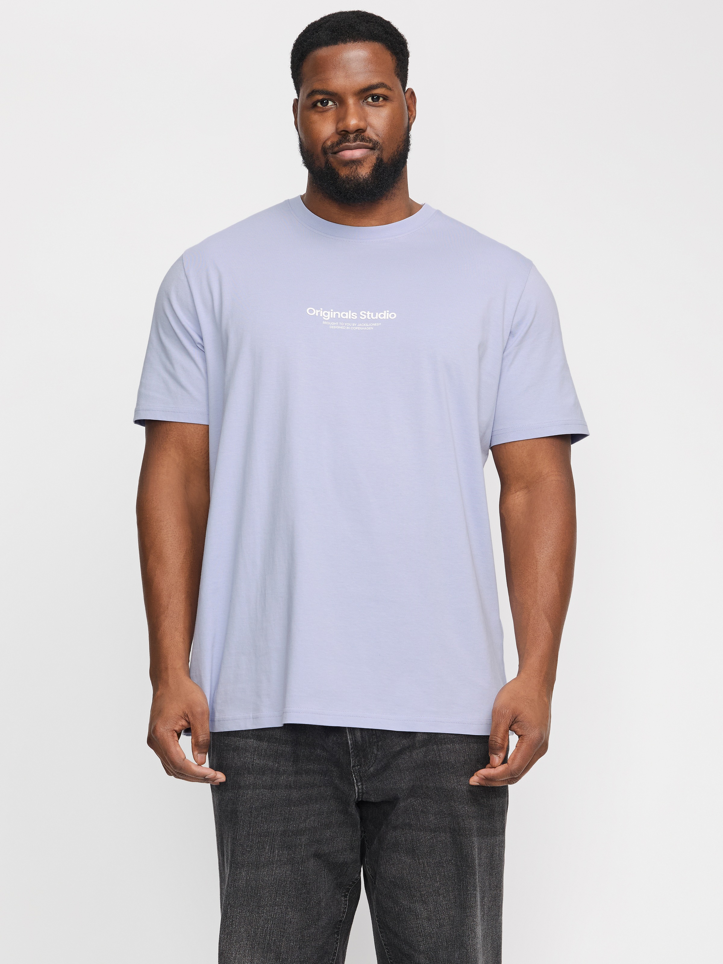 Jack & Jones PlusSize Kurzarmshirt »JORVESTERBRO TEE SS CREW NECK NOOS PLS«