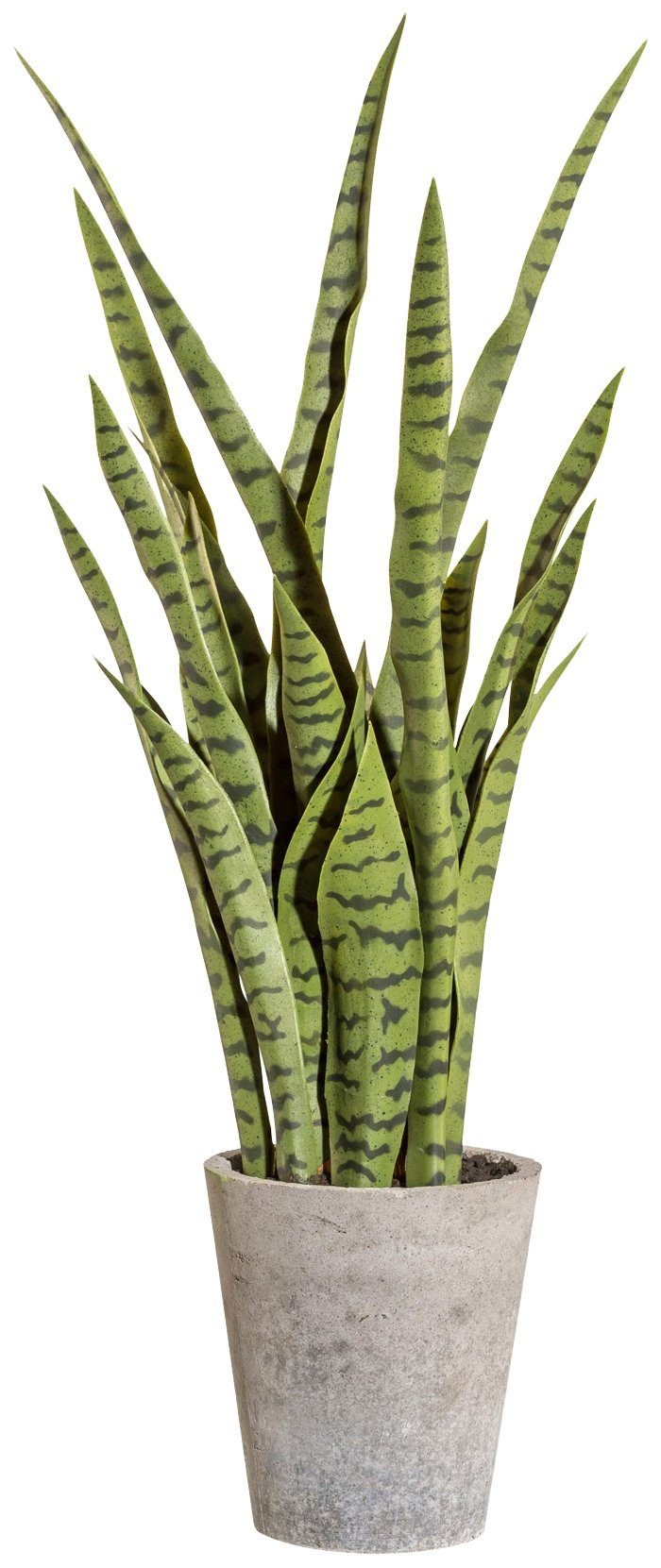 Creativ green Kunstpflanze »Sanseveria«, (1 St.), im Zementtopf
