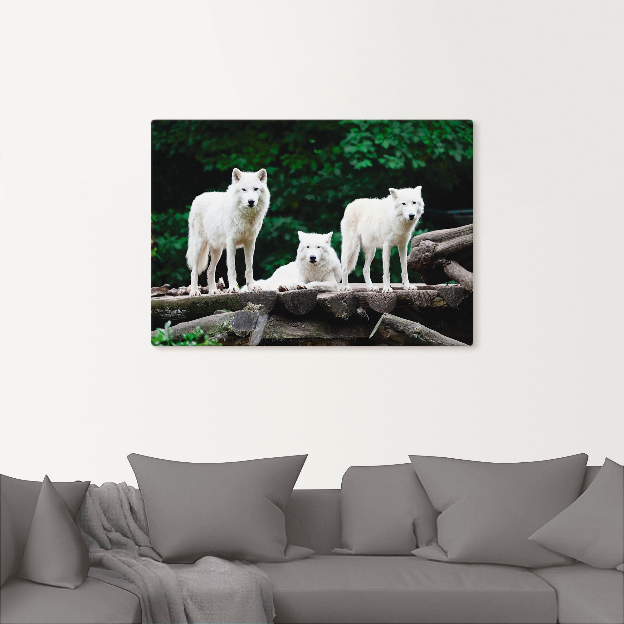Artland Wandbild »Arktische Wölfe«, Wildtiere, (1 St.), als Leinwandbild, Poster in verschied. Größen