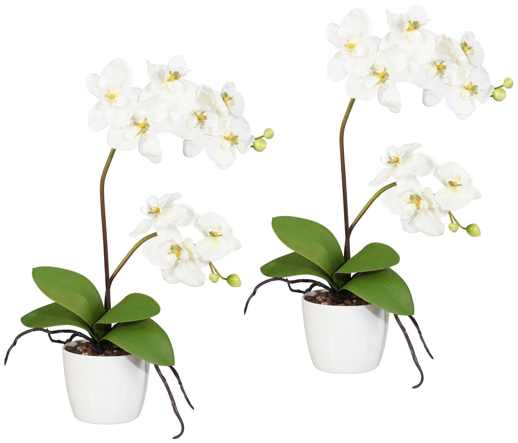 Creativ green Kunstpflanze »Orchidee Phalaenopsis« im Keramiktopf