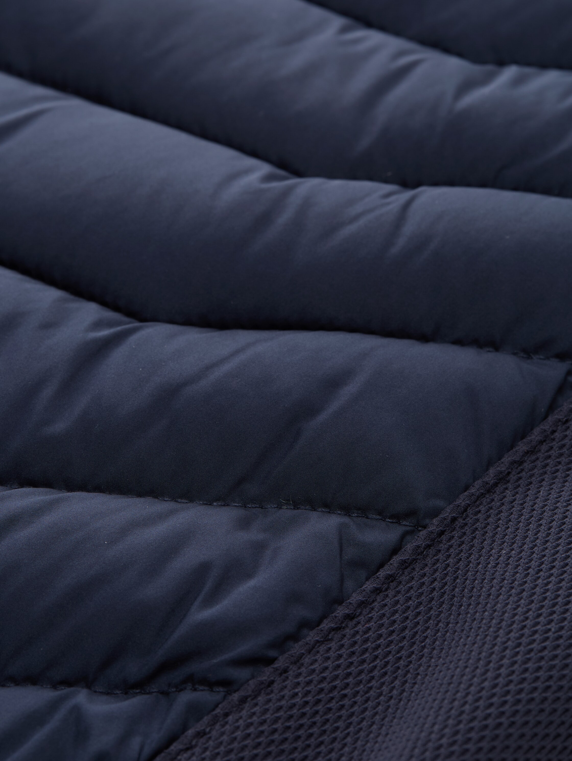 TOM TAILOR Steppjacke, ohne Kapuze, mit Taschen