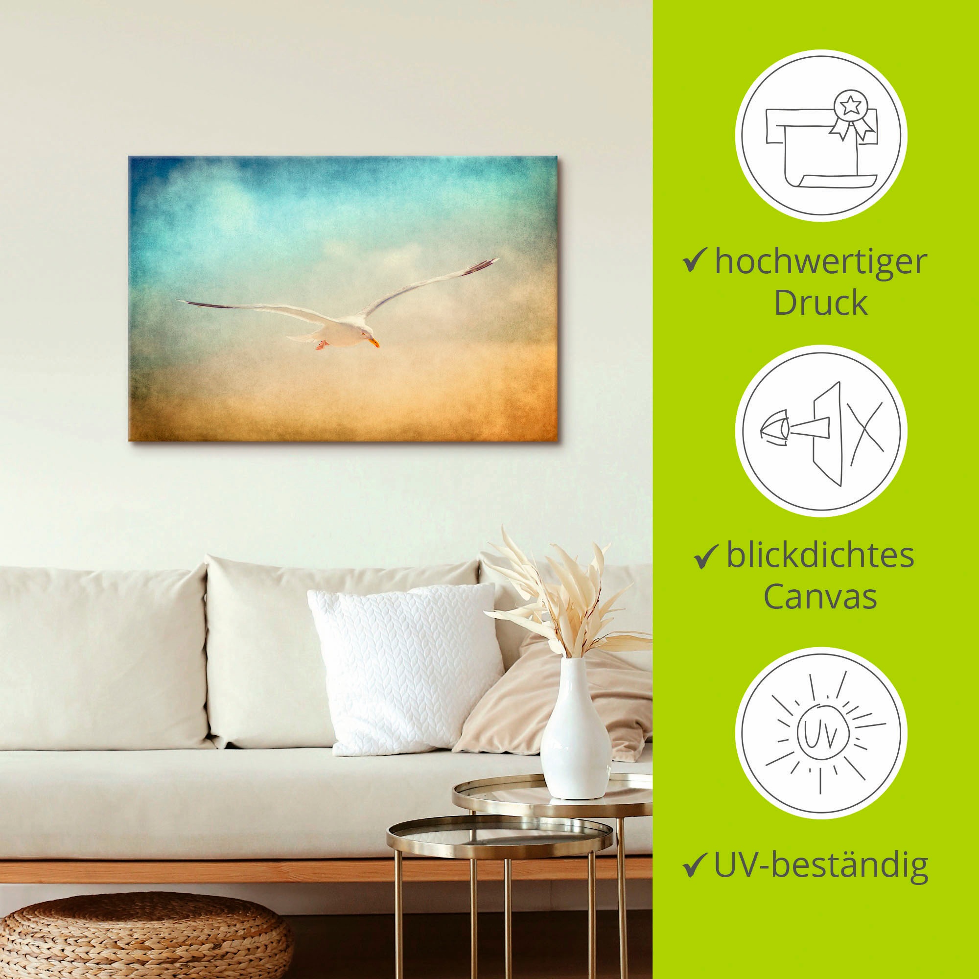 Artland Wandbild »Möwe«, Vögel, (1 St.), als Alubild, Outdoorbild, Leinwandbild in verschied. Größen