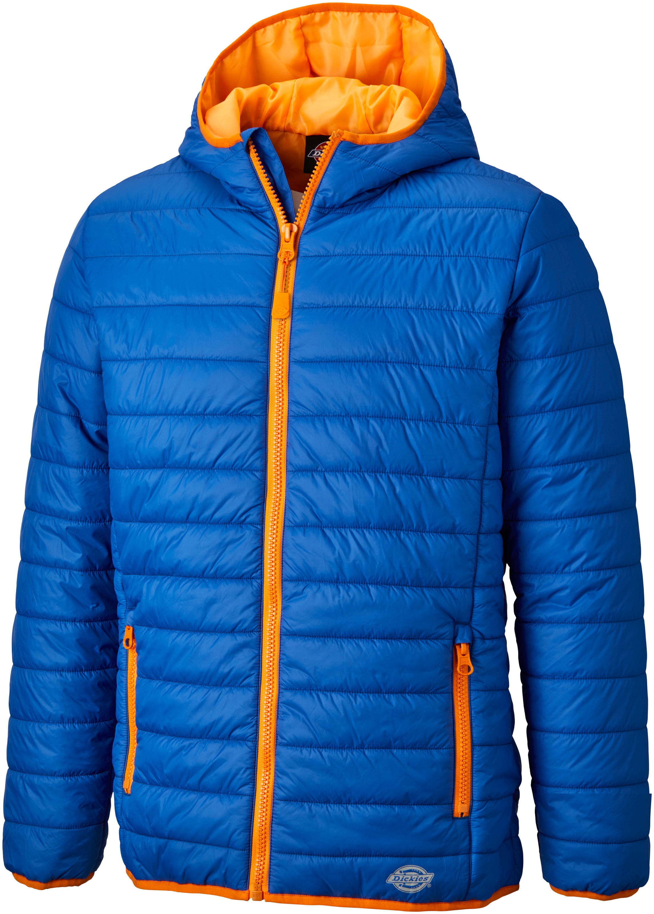 Dickies Steppjacke »Stamford«, Arbeitsjacke mit Kapuze, Arme & Bund elastisch