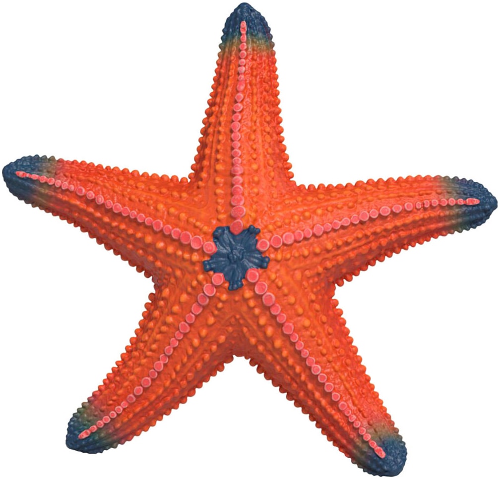 Schleich® Spielfigur »WILD LIFE, Seestern (14902)« mit Farbwechsel