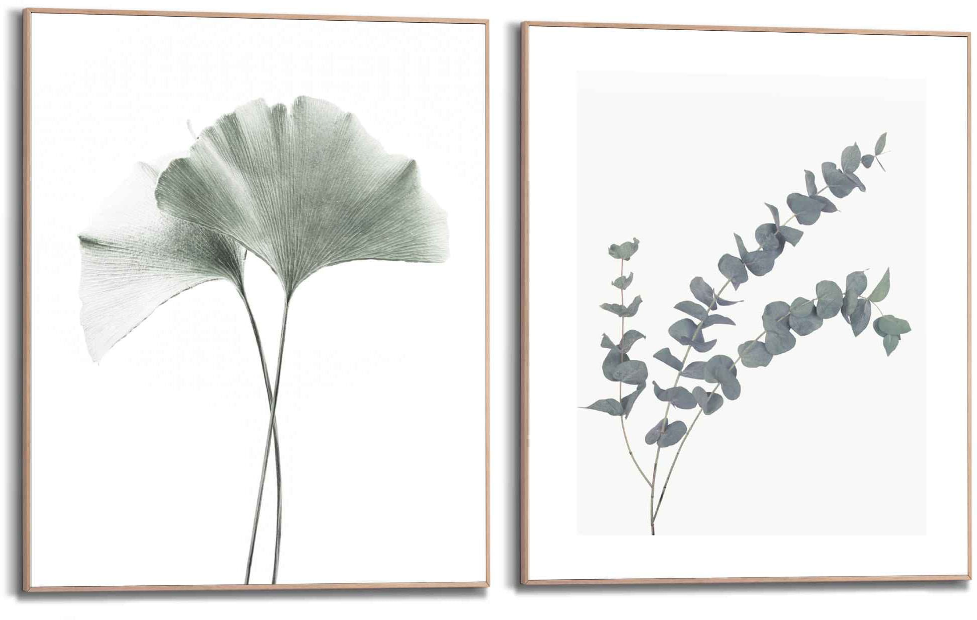 Bild mit Rahmen »Eukalyptus blatt Pflanze«, Blätter, (2 St.), Ginko - Naturmotiv -...
