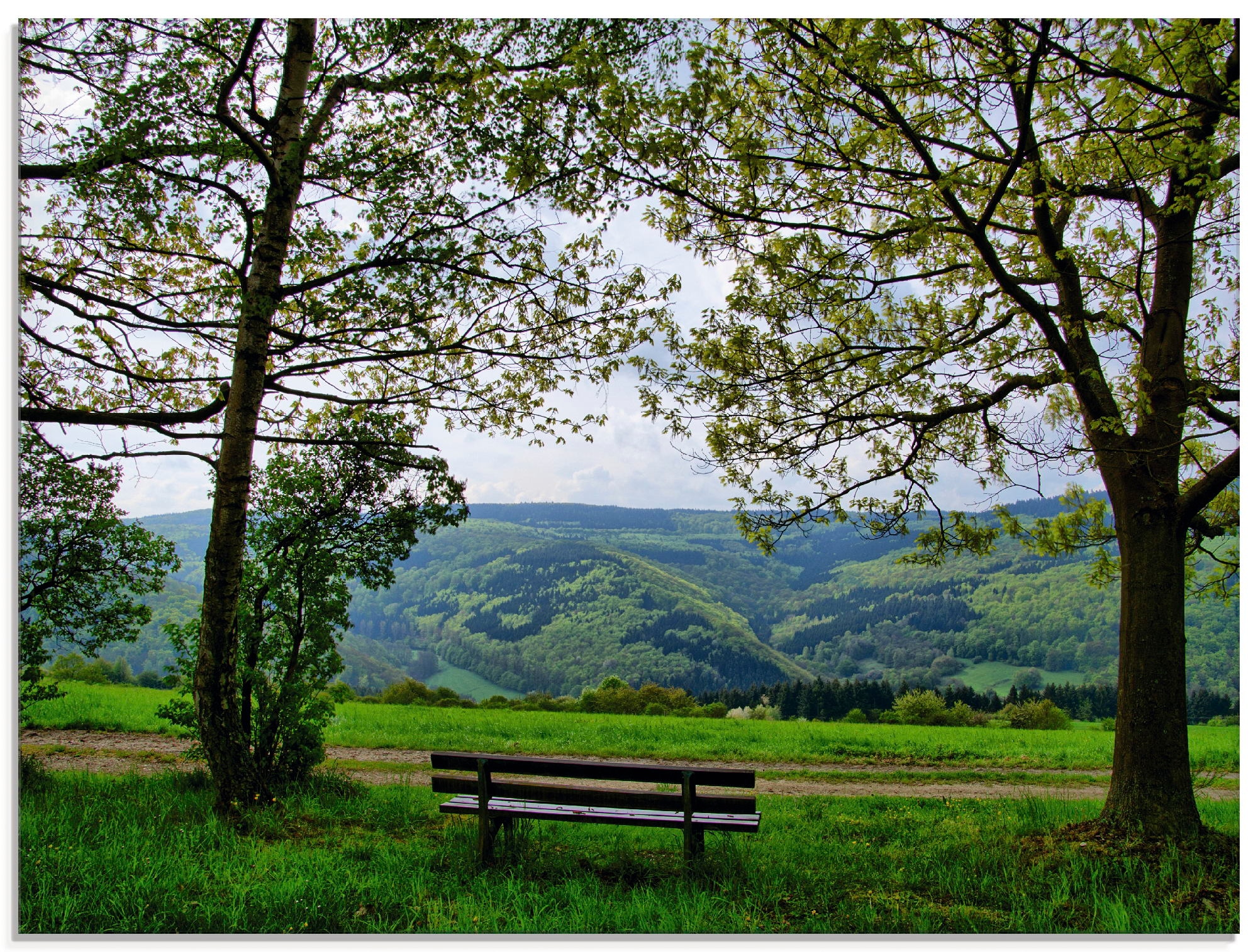 Glasbild »Ausblick in den Frühling«, Felder, (1 St.), in verschiedenen Größen