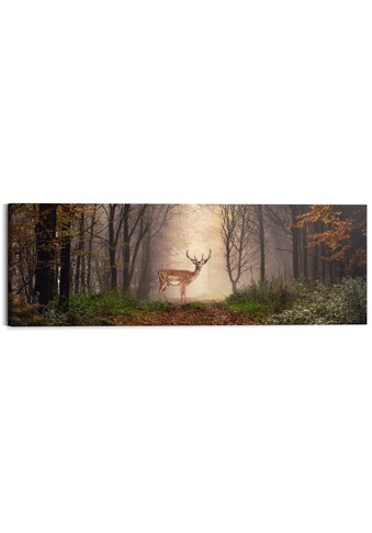 Reinders! Holzbild »Deco Block 40x118 Majestic Deer« kaufen