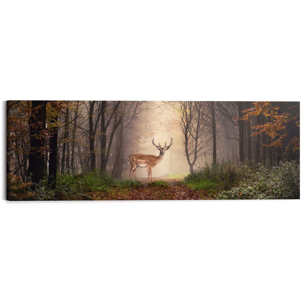 Reinders! Holzbild »Deco Block 40x118 Majestic Deer«