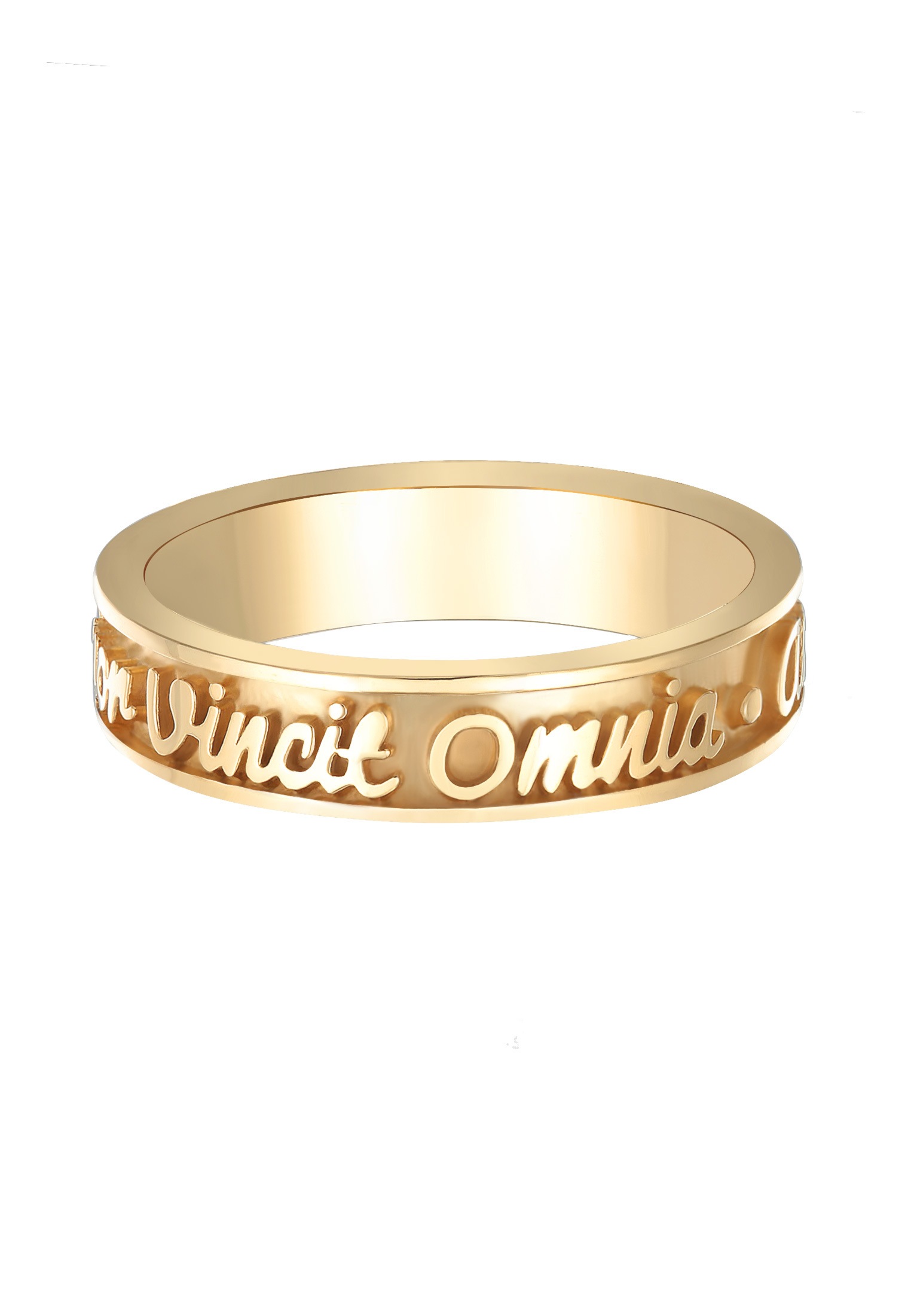 Elli Silberring »Ring Bandring Worte Amor Vincit Omnia 925 Silber«