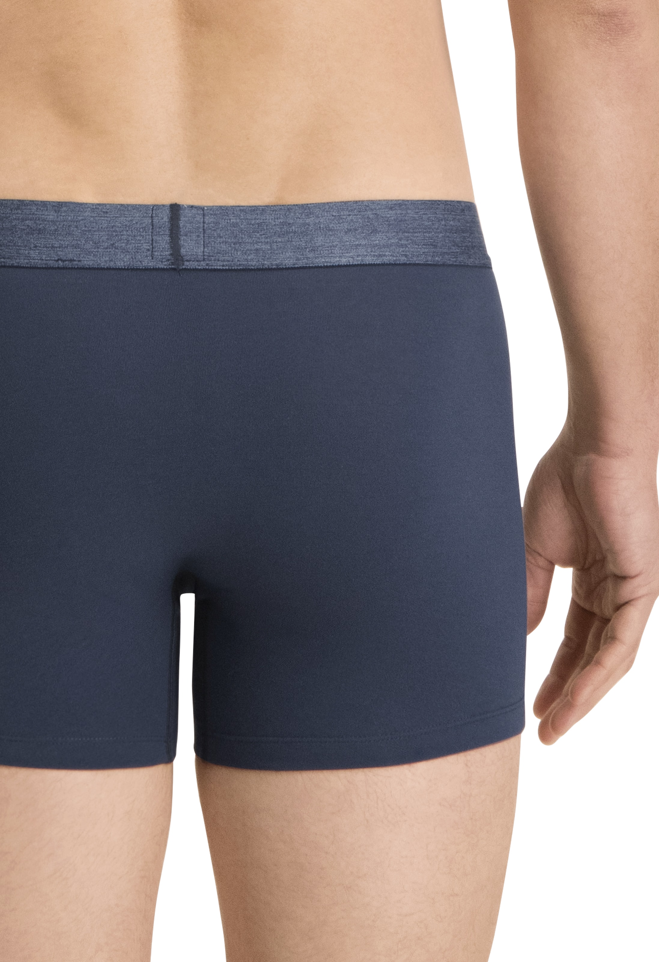 Levi's® Boxershorts »LEVIS MEN MEL WB BOXER BRIEF ORG CO 2P«, (2er Pack), mit breitem Logobund