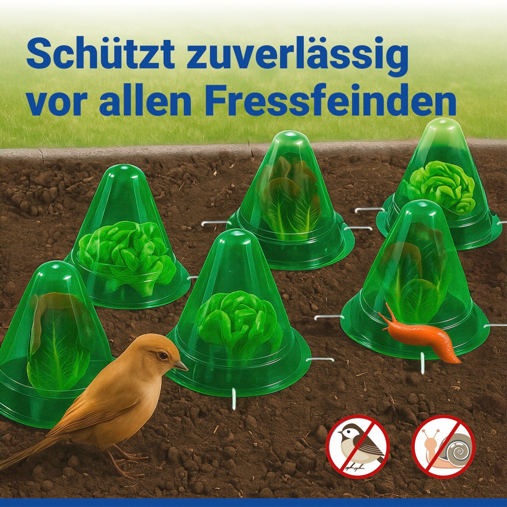 Maximex Pflanzenschutzdach »6 Stück Pflanzenhut« schützt Setzlinge vor Witterung & Schädlingen, für Beet & Hochbeet