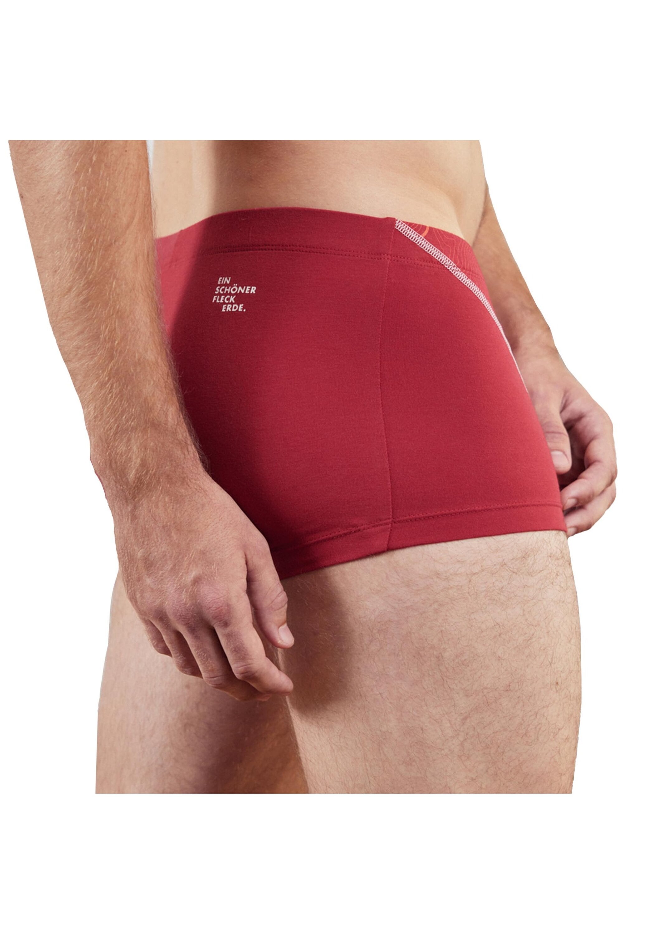 EIN SCHÖNER FLECK ERDE Boxershorts »Boxershort 1er Pack«