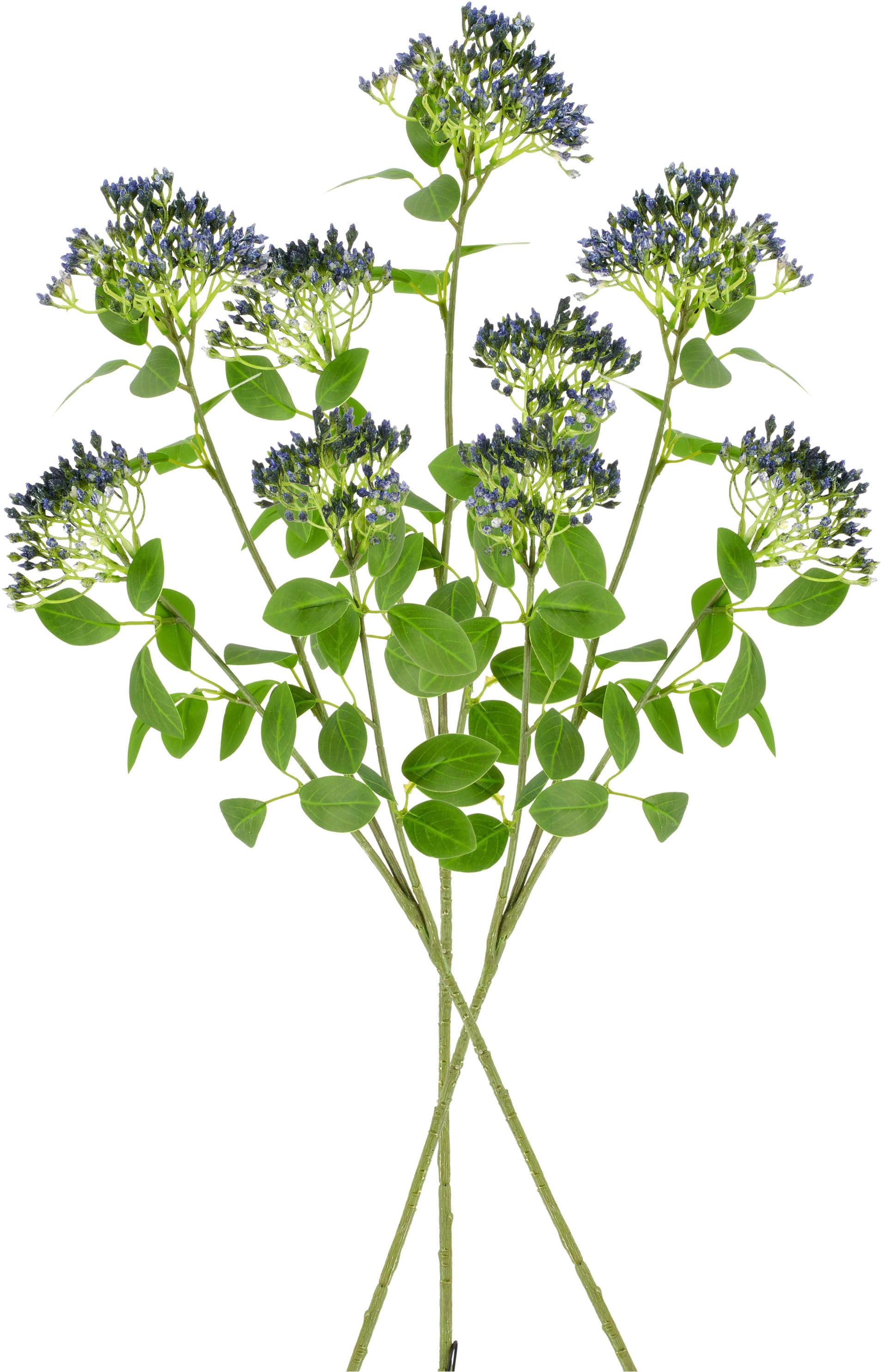 Creativ green Kunstzweig »Viburnumzweig« mit traumhaft schönen Blüten