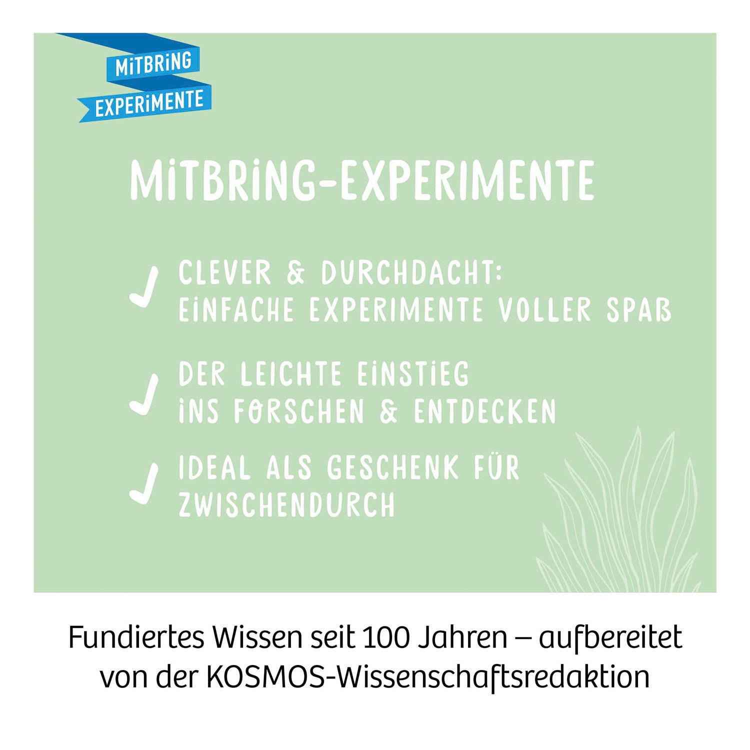 Kosmos Experimentierkasten »Kakteen-Wüste«, Made in Germany