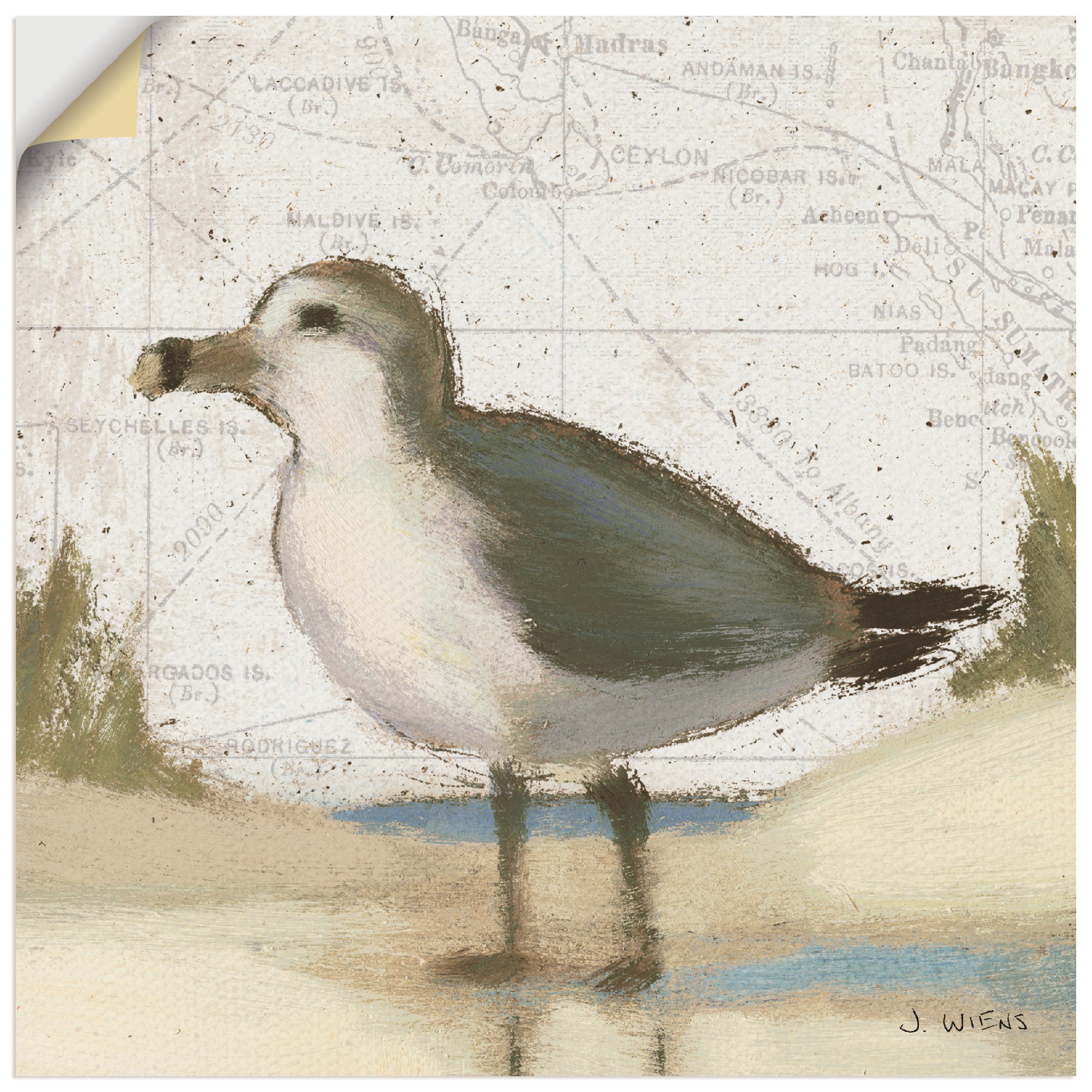 Artland Wandbild »Möwe II«, Vögel, (1 St.), in vielen Größen & Produktarten -Leinwandbild, Poster, Wandaufkleber / Wandtattoo auch für Badezimmer geeignet