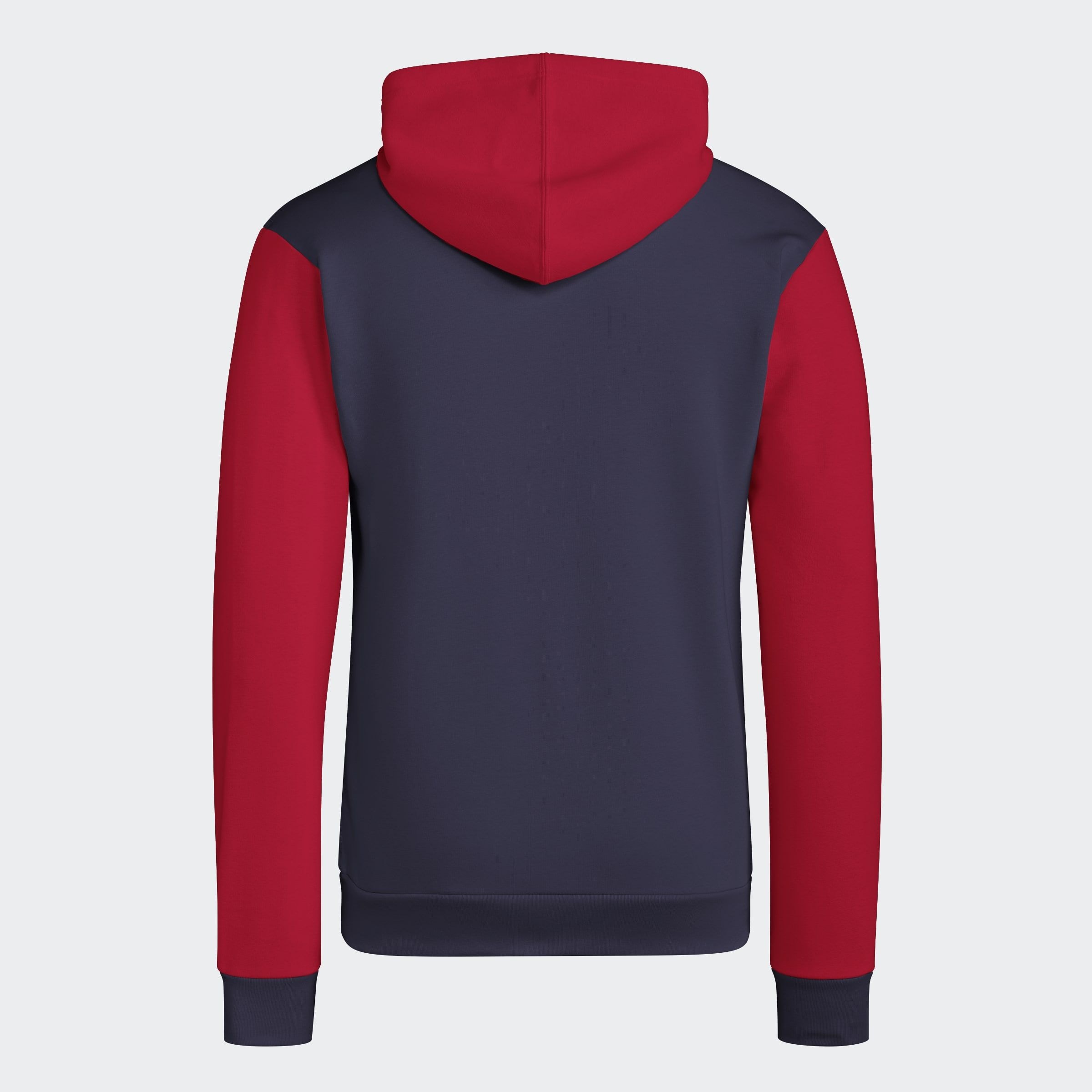 adidas Sportswear Kapuzensweatshirt »ESSENTIALS BIG LOGO HOODIE«