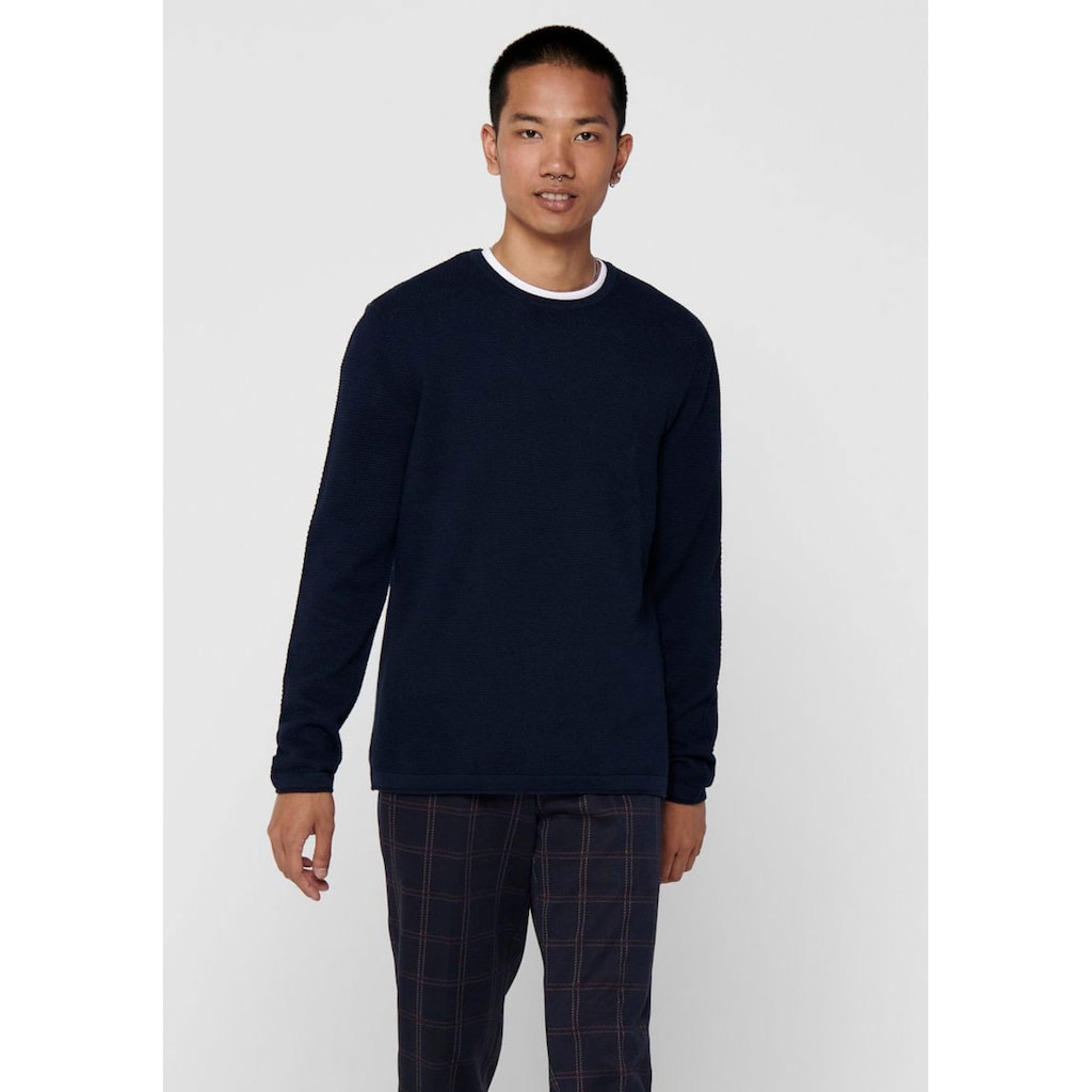 ONLY & SONS Rundhalspullover »PANTER 12 STRUC CREW NECK KNIT«