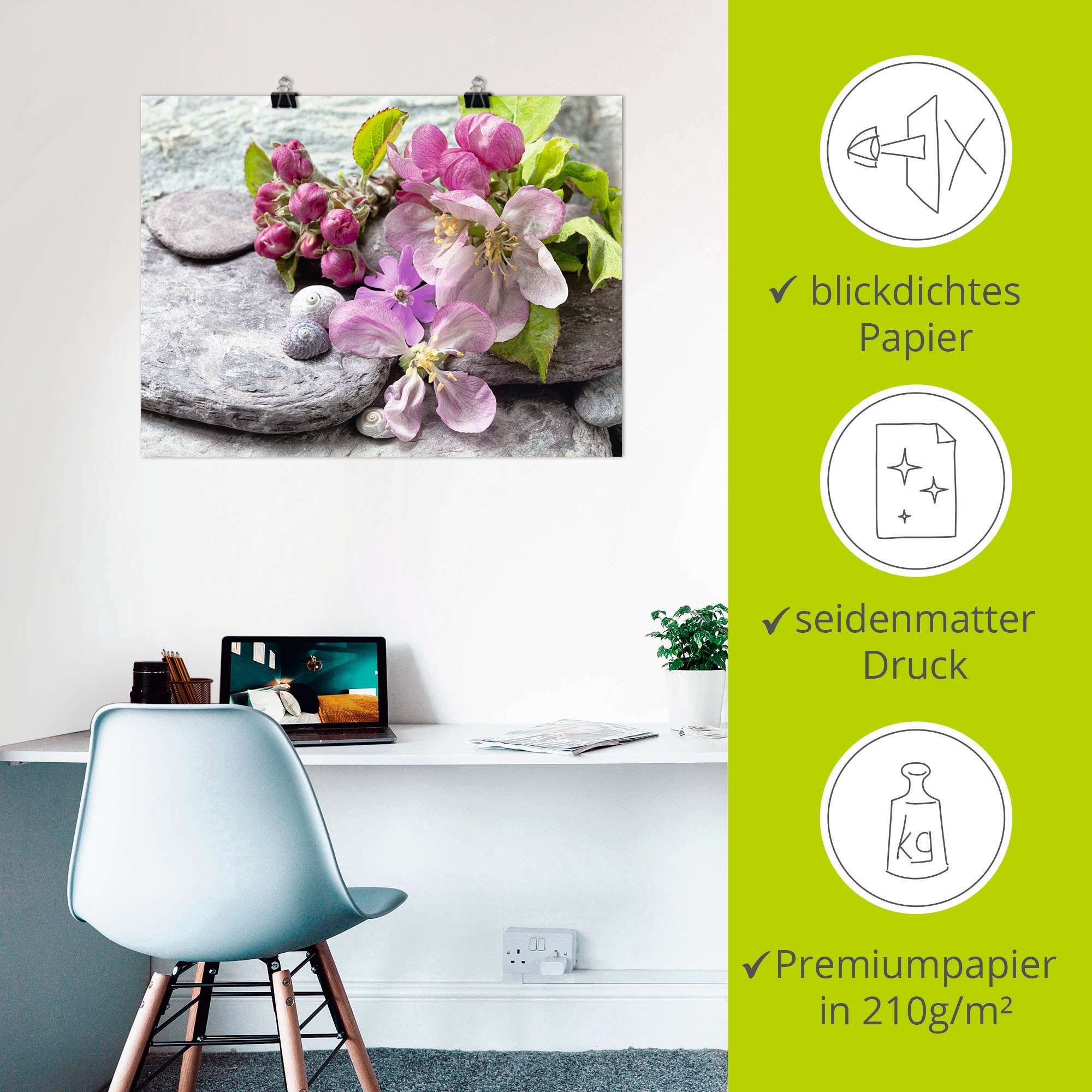 Artland Wandbild »Apfelblüten«, Blumen, (1 St.), als Leinwandbild, Poster, Wandaufkleber in verschied. Größen