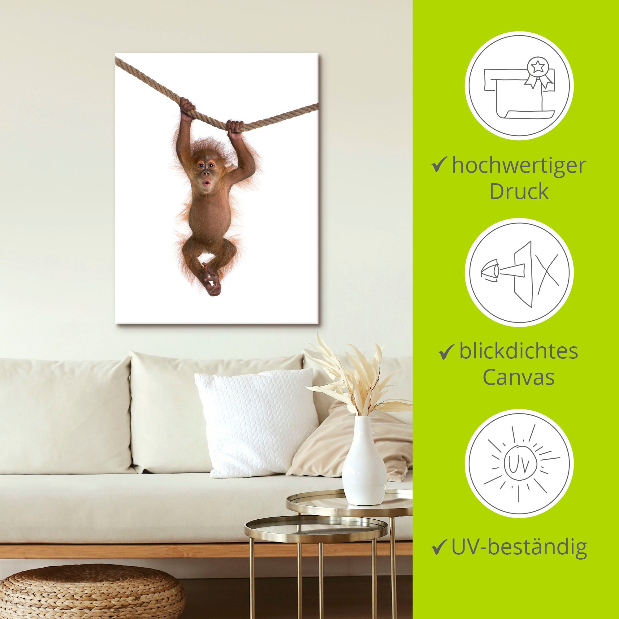 Artland Wandbild »Baby Orang Utan hängt an Seil II«, Wildtiere, (1 St.), als Alubild, Outdoorbild, Leinwandbild, Poster, Wandaufkleber