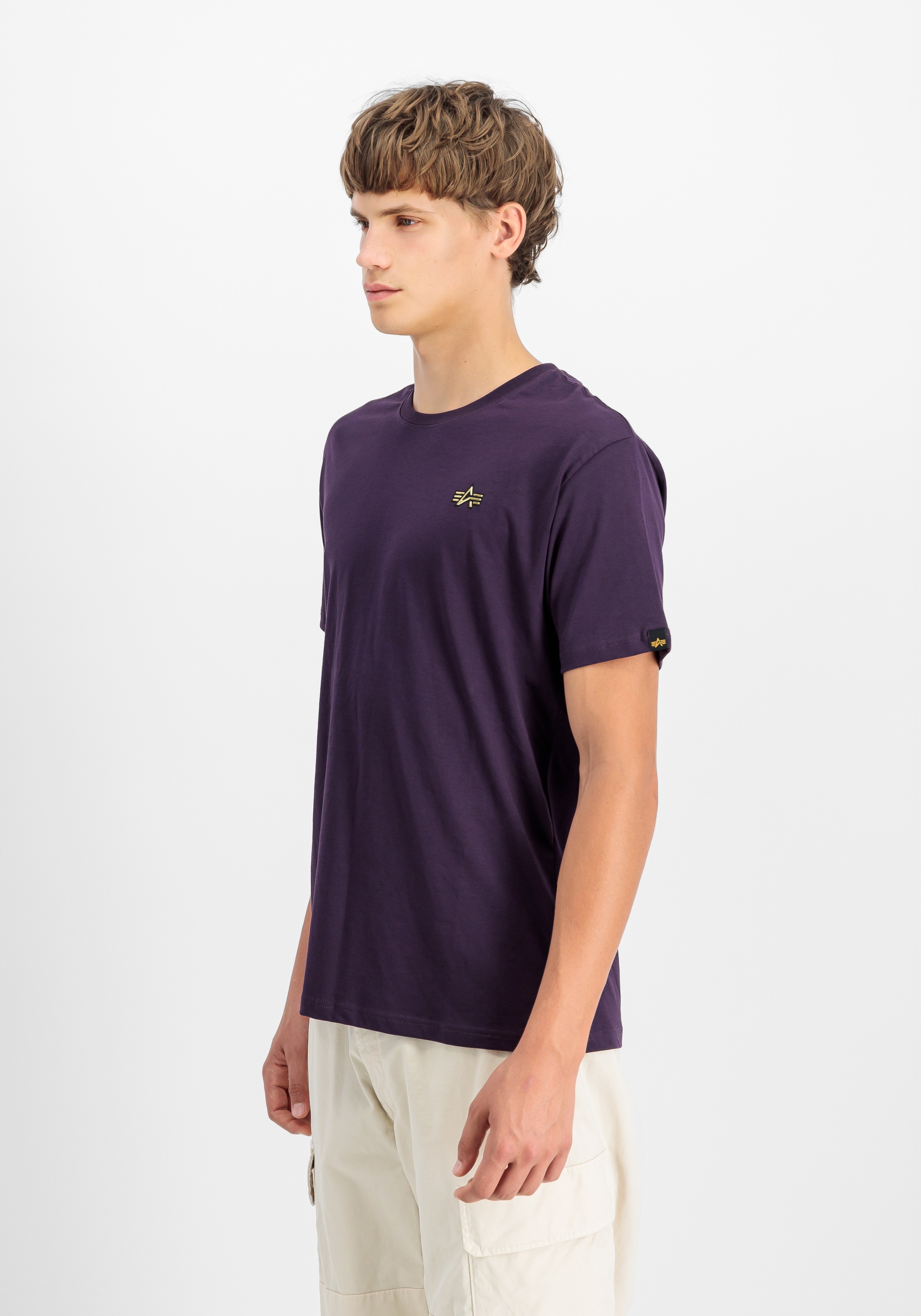 Alpha Industries T-Shirt »3D Small Logo T-Shirt T-Shirt«