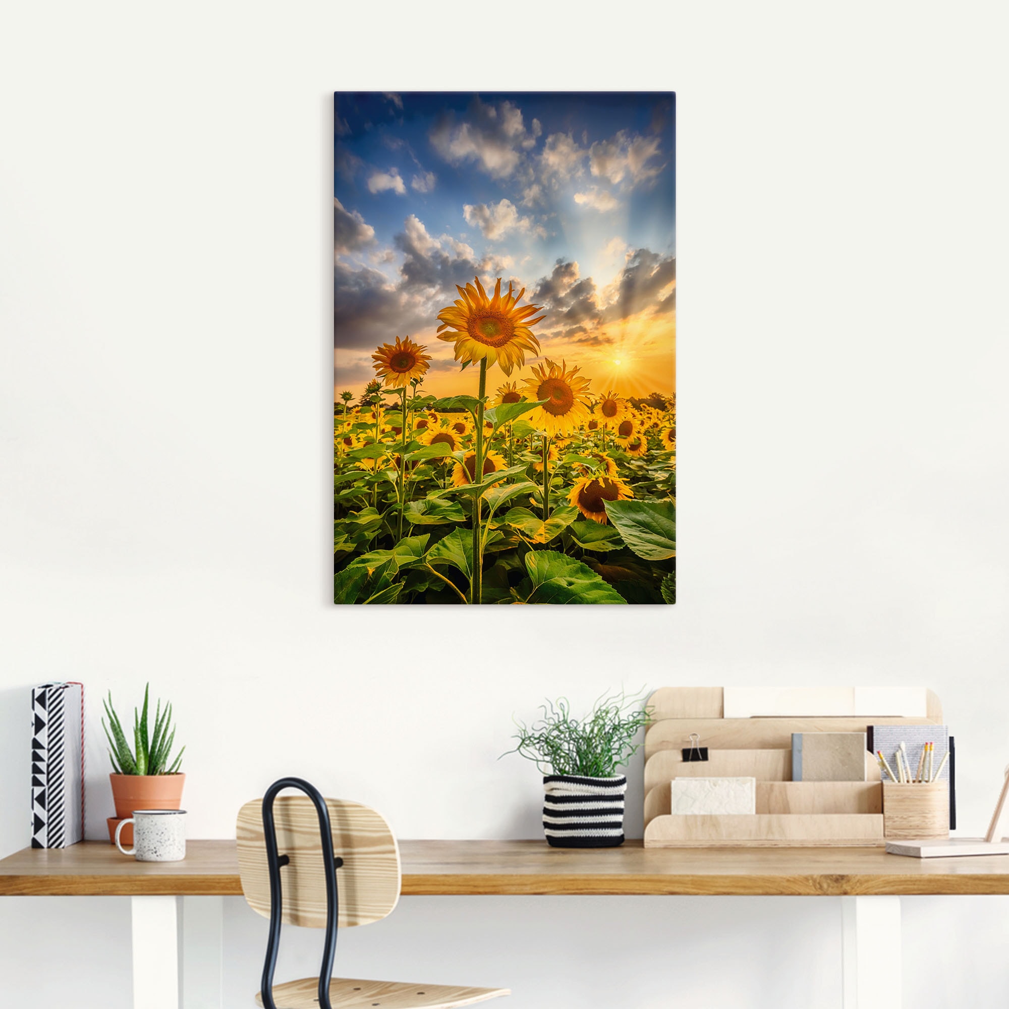 St.), Größen im Blumenbilder, (1 »Sonnenblumen verschied. Wandbild Sonnenuntergang«, Shop Online Leinwandbild, Artland als in im OTTO Poster