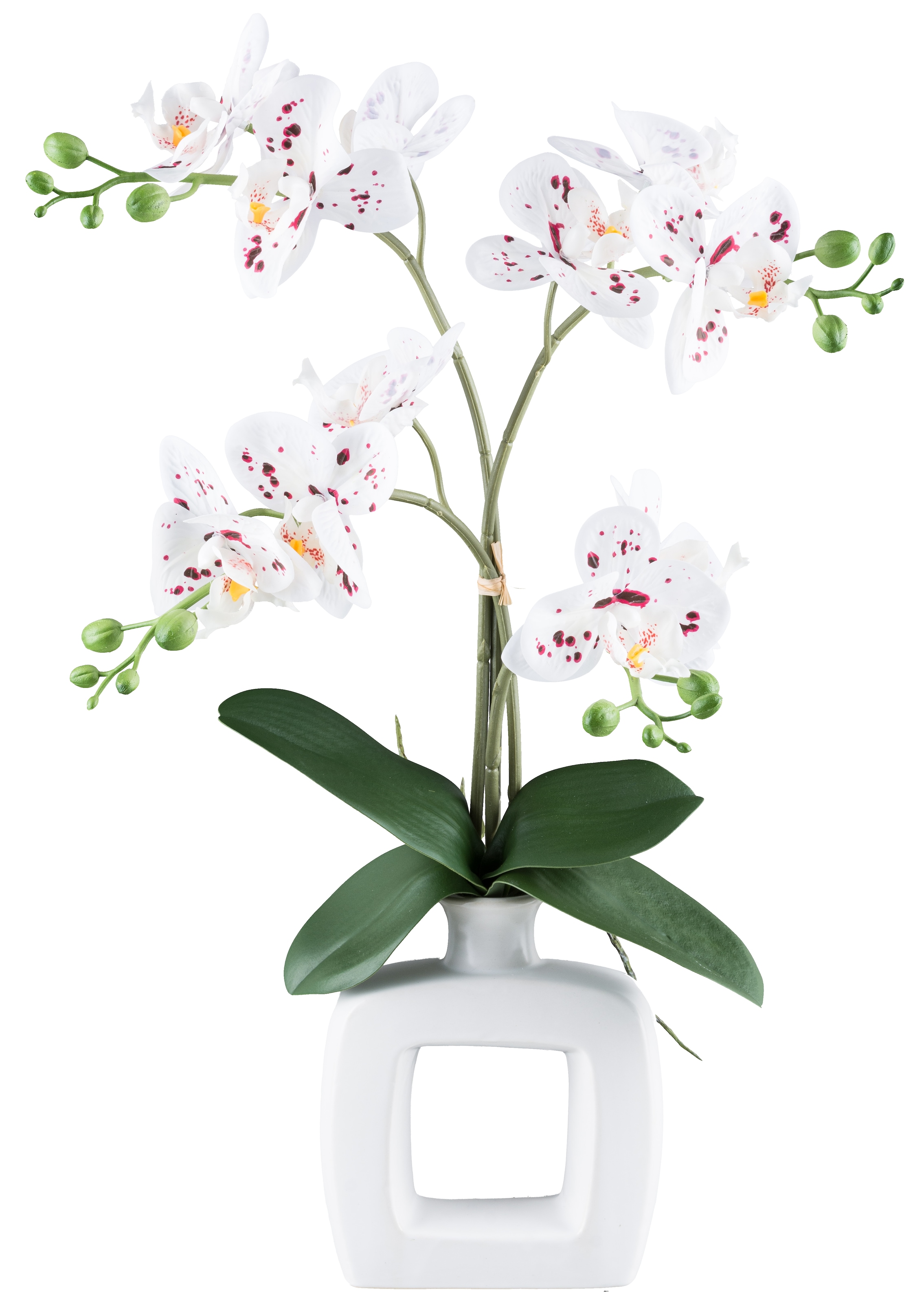 my home Kunstorchidee »Orchidee Phalaenopsis«, mit real-touch-Blüten