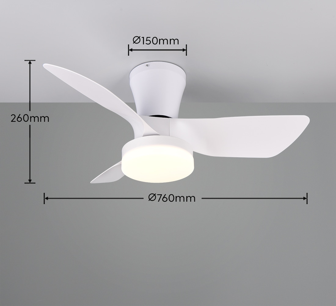 REALITY Leuchten LED Deckenleuchte »RANDERS mit Ventilator, Deckenventilator mit Licht inkl Fernbedienung« LED-Board 1 Stk. warmweiß - kaltweiß 6 Geschwindigkeiten Timer Vor- & Rücklauf LED dimmbar CCT Nachtlicht