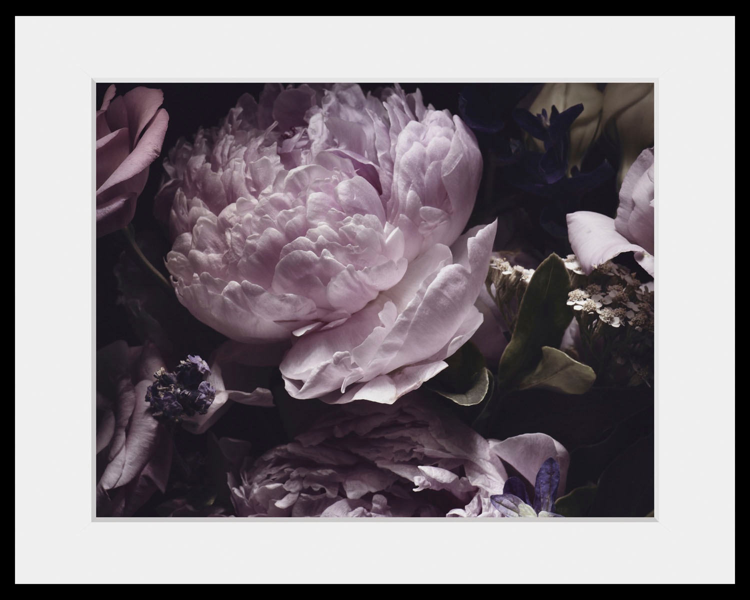 queence Bild »Shakira«, Blumen, (1 St.)