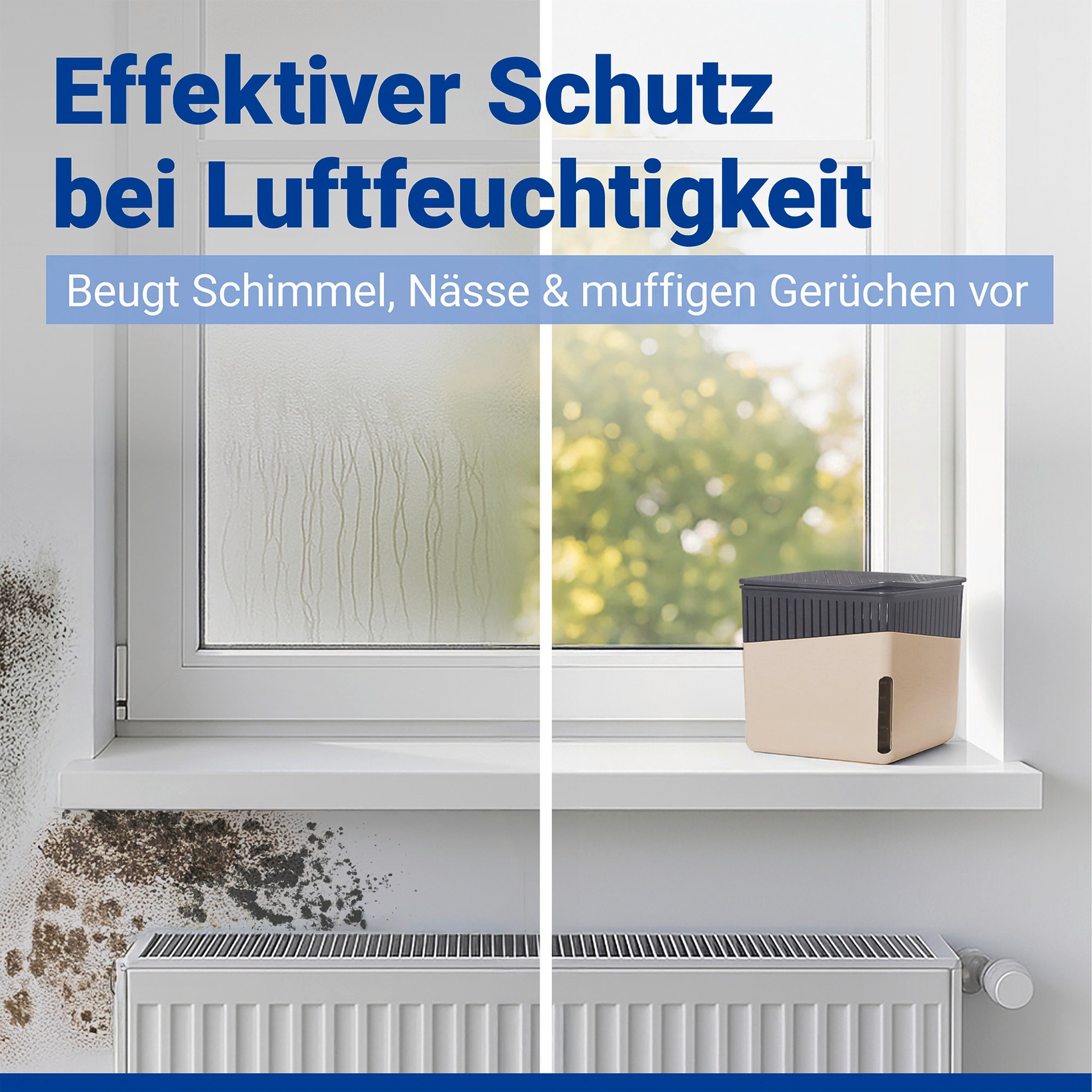 WENKO Luftentfeuchter »Cube« für 80 m³ Räume 2 x 1000g