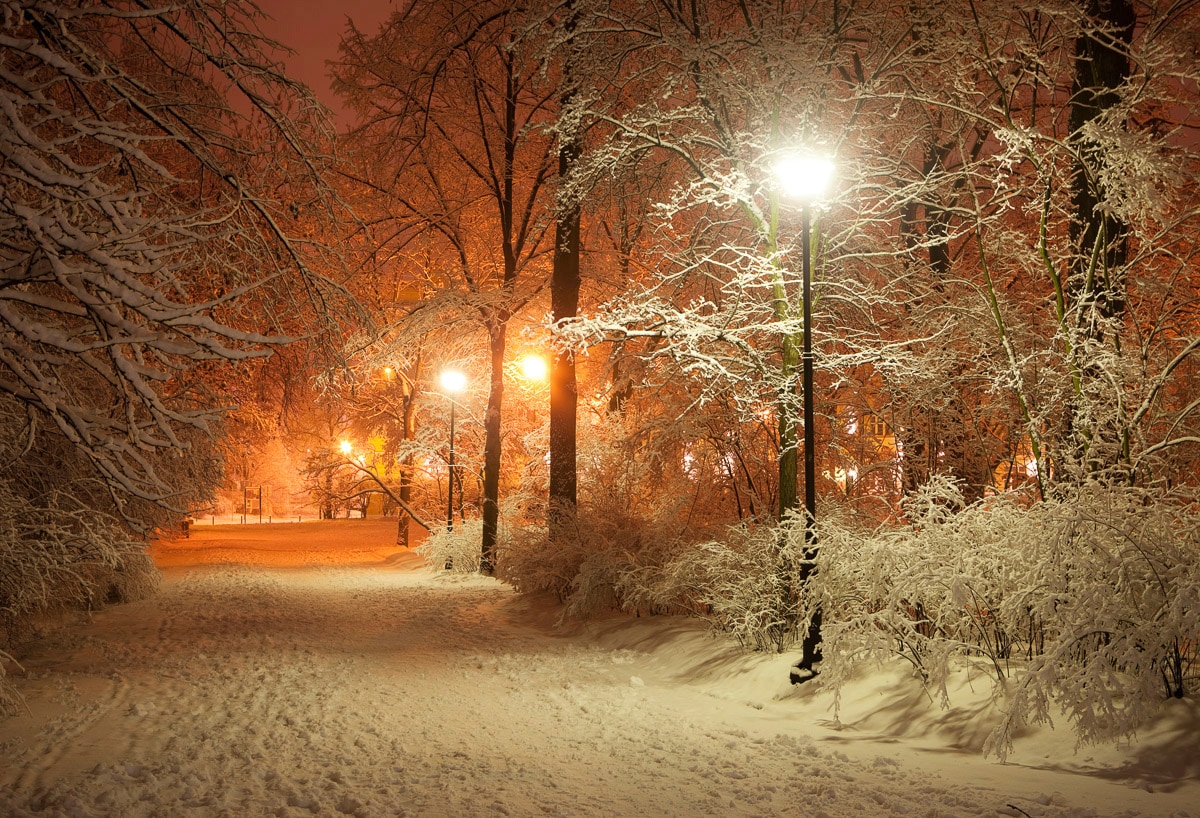 Fototapete »Park im Winter«