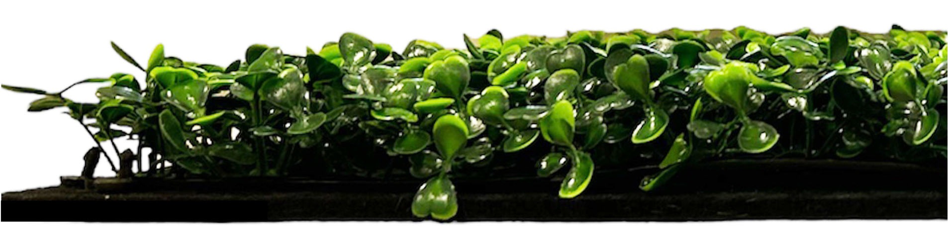 Architects Paper Wandpaneel »A.S. Création Modular Wall Wandpaneel Pflanzenoptik« 1 tlg. Kunstpflanzen auf rPET-Filz für farbstarke botanische 3D-Wände