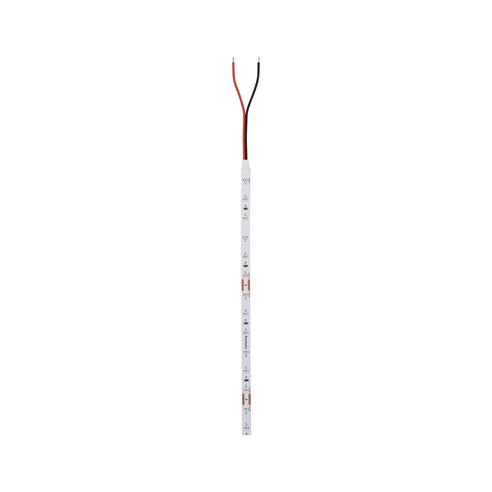 Paulmann LED-Streifen »Pro Strip Silver P25 5m green IP20 24V DC 20W«, grün