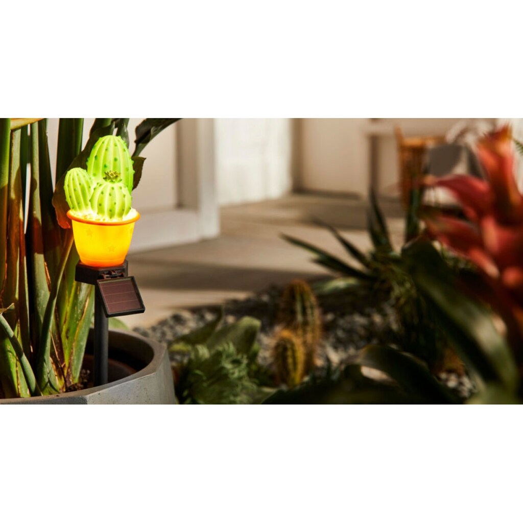 Schneider LED Gartenleuchte »Kaktus«